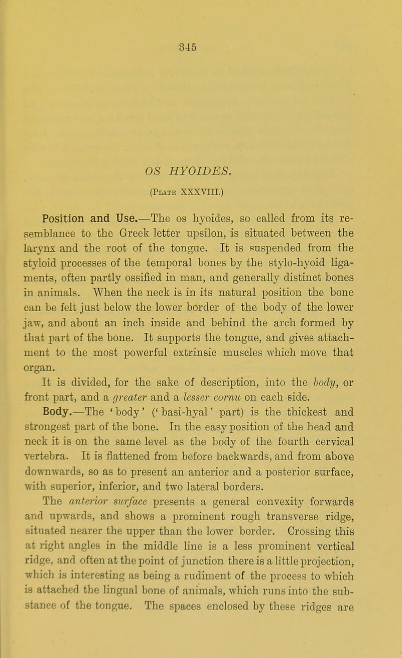 OS HYOIDES. (Plate XXXVIII.) Position and Use.—The os hyoides, so called from its re- semblance to the Greek letter upsilon, is situated between the larynx and the root of the tongue. It is suspended from the styloid processes of the temporal bones by the stylo-hyoid liga- ments, often partly ossified in man, and generally distinct bones in animals. When the neck is in its natural position the bone can be felt just below the lower border of the body of the lower jaw, and about an inch inside and behind the arch formed by that part of the bone. It supports the tongue, and gives attach- ment to the most powerful extrinsic muscles which move that organ. It is divided, for the sake of description, into the body, or front part, and a greater and a lesser cornu on each side. Body.—The ' body' (' basi-hyal' part) is the thickest and strongest part of the bone. In the easy position of the head and neck it is on the same level as the body of the fourth cervical vertebra. It is flattened from before backwards, and from above downwards, so as to present an anterior and a posterior surface, with superior, inferior, and two lateral borders. The anterior surface presents a general convexity forwards and upwards, and shows a prominent rough transverse ridge, situated nearer the upper than the lower border. Crossing this at right angles in the middle line is a less pi-ominent vertical ridge, and often at the point of junction there is a little projection, which is interesting as being a rudiment of the process to which is attached the lingual bone of animals, which runs into the sub- stance of the tongue. The spaces enclosed by these ridges are