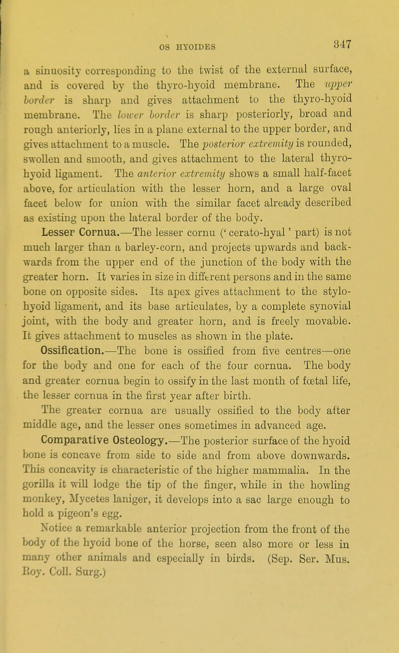 a sinuosity corresponding to the twist of the external surface, and is covered by the thyro-hyoid membrane. The iqjpei' border is sharp and gives attachment to the thyro-hyoid membrane. The loicer border is sharp posteriorly, broad and rough anteriorly, lies in a plane external to the upper border, and gives attachment to a muscle. The postenor extremity is rounded, swollen and smooth, and gives attachment to the lateral thyro- hyoid hgament. The anterior extremity shows a small half-facet above, for articulation with the lesser horn, and a large oval facet below for union with the similar facet already described as existing upon the lateral border of the body. Lesser Cornua.—The lesser cornu (' cerato-hyal' part) is not much larger than a barley-corn, and projects upwards and back- wards fi-om the upper end of the junction of the body with the greater horn. It varies in size in different persons and in the same bone on opposite sides. Its apex gives attachment to the stylo- hyoid hgament, and its base articulates, by a complete synovial joint, with the body and greater horn, and is freely movable. It gives attachment to muscles as shown in the plate. Ossification.—The bone is ossified from five centres—one for the body and one for each of the four cornua. The body and greater cornua begin to ossify in the last month of foetal life, the lesser cornua in the first year after birth. The greater cornua are usually ossified to the body after middle age, and the lesser ones sometimes in advanced age. Comparative Osteolog-y.—The posterior surface of the hyoid bone is concave from side to side and from above downwards. This concavity is characteristic of the higher mammalia. In the gorilla it will lodge the tip of the finger, while in the howHng monkey, Mycetes laniger, it develops into a sac large enough to hold a pigeon's egg. Notice a remarkable anterior projection from the front of the body of the hyoid bone of the horse, seen also more or less in many other animals and especially in birds. (Sep. Ser. Mus. Eoy. Coll. Surg.)