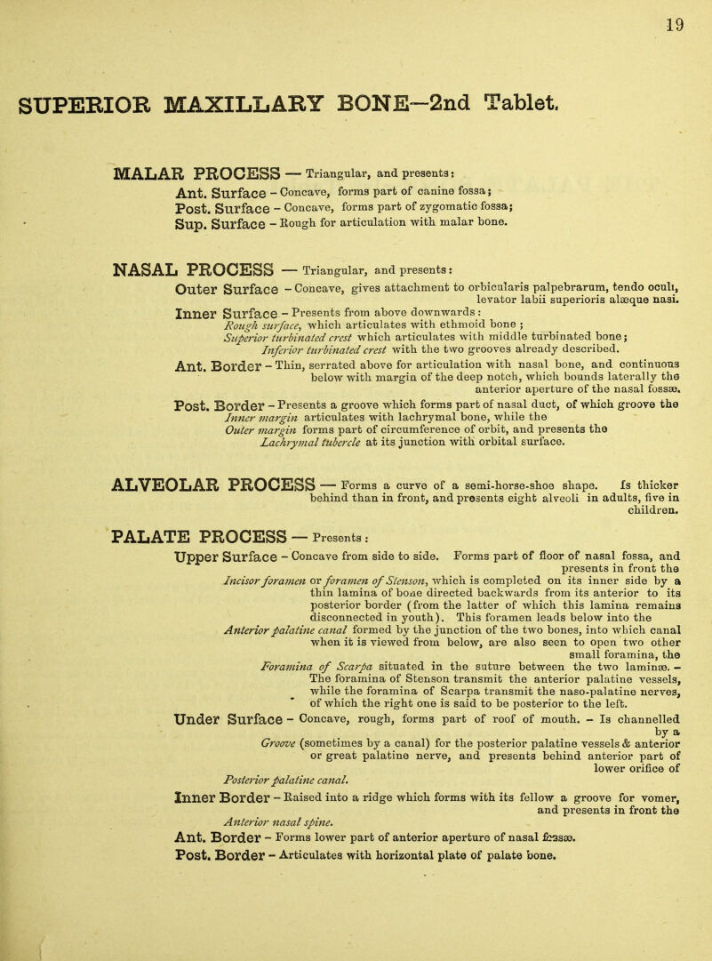 SUPERIOR MAXILLARY BONE—2nd Tablet. MALAR PROCESS — Triangular, and presents: Ant. Surface - Concave, forms part of canine fossa; Post. Surface - Concave, forms part of zygomatic fossa; Sup. Surface - Hough for articulation with malar bone. NASAL PROCESS — Triangular, and presents : Outer Surface - Concave, gives attachment to orbicularis palpebrarum, tendo oculi, levator labii superioris alseque nasi. Inner Surface - Presents from above downwards : Rough surface, which articulates with ethmoid bone ; Superior turbinated crest which articulates with middle turbinated bone; Inferior turbinated crest with the two grooves already described. Ant. Border - Thin, serrated above for articulation with nasal bone, and continuous below with margin of the deep notch, which bounds laterally the anterior aperture of the nasal fossa?. Post. Border - Presents a groove which forms part of nasal duct, of which groove the Inner margin articulates with lachrymal bone, while the Outer margin forms part of circumference of orbit, and presents the Lachrymal tubercle at its junction with orbital surface. ALVEOLAR PROCESS — Forms a curve of a semi-horse-shoe shape. Is thicker behind than in front, and presents eight alveoli in adults, five in children. PALATE PROCESS — Presents s Upper Surface - Concave from side to side. Forms part of floor of nasal fossa, and presents in front the Incisor foranien or foramen of Stenson, which is completed on its inner side by a thin lamina of bo±ie directed backwards from its anterior to its posterior border (from the latter of which this lamina remains disconnected in youth). This foramen leads below into the Anterior palatine canal formed by the junction of the two bones, into which canal when it is viewed from below, are also seen to open two other small foramina, the Foramina of Scarpa situated in the suture between the two laminae. - The foramina of Stenson transmit the anterior palatine vessels, while the foramina of Scarpa transmit the naso-palatine nerves, of which the right one is said to be posterior to the left. Under Surface - Concave, rough, forms part of roof of mouth. - Is channelled by a Groove (sometimes by a canal) for the posterior palatine vessels & anterior or great palatine nerve, and presents behind anterior part of lower orifice of Posterior palatine canal. Inner Border - Raised into a ridge which forms with its fellow a groove for vomer, and presents in front the Anterior nasal spine. Ant. Border - Forms lower part of anterior aperture of nasal fcssse. Post. Border - Articulates with horizontal plate of palate bone.