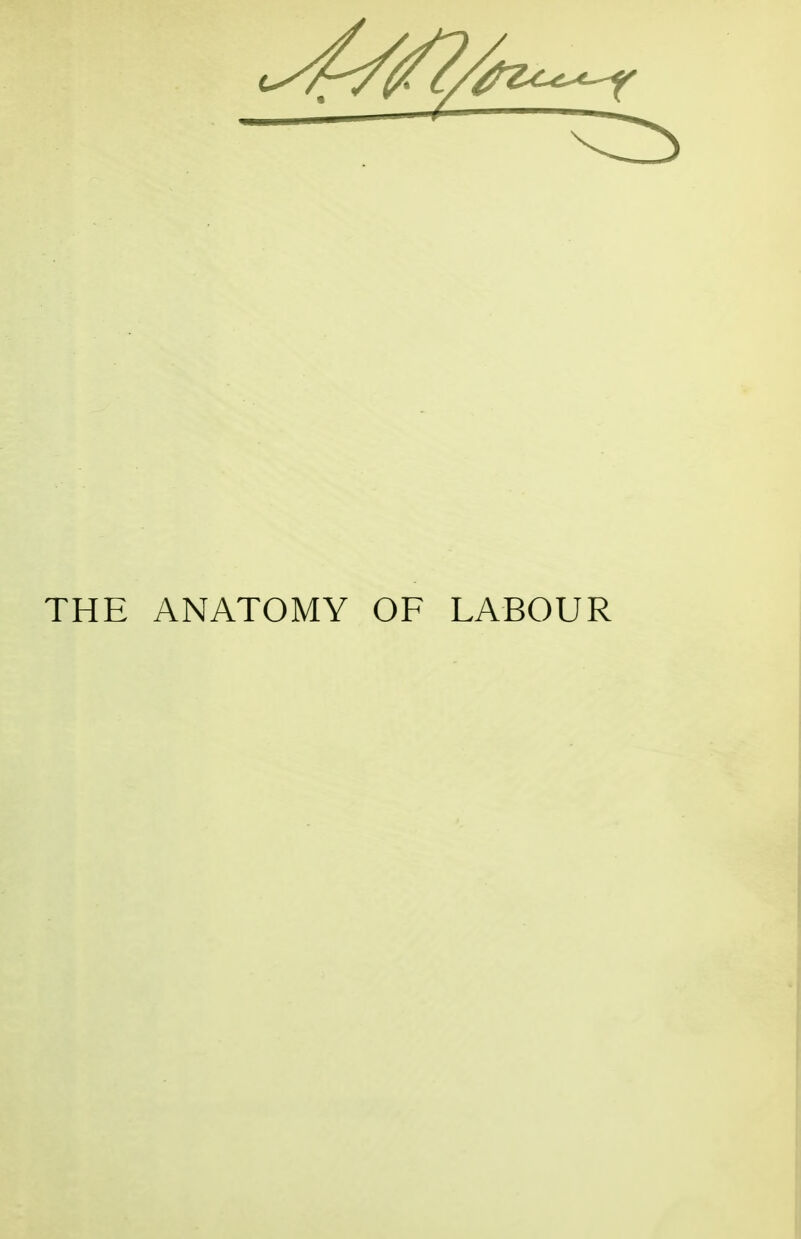 ANATOMY OF LABOUR