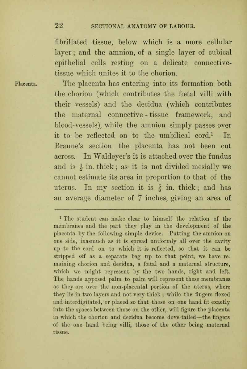 fibrillated tissue, below which is a more celhilar layer; and the amnion, of a single layer of cubical epithelial cells resting on a delicate connective- tissue which unites it to the chorion. Placenta. The placenta has entering into its formation both the chorion (which contributes the foetal villi with their vessels) and the decidua (which contributes the maternal connective - tissue framework, and blood-vessels), while the amnion simply passes over it to be reflected on to the umbilical cord.^ In Braune's section the placenta has not been cut across. In Waldeyer's it is attached over the fundus and is J in. thick; as it is not divided mesially we cannot estimate its area in proportion to that of the uterus. In my section it is f in. thick; and has an average diameter of 7 inches, giving an area of ^ The student can make clear to himself the relation of the membranes and the part they play in the development of the placenta by the following simple device. Putting the amnion on one side, inasmuch as it is spread uniformly all over the cavity up to the cord on to which it is reflected, so that it can be stripped off as a separate bag up to that point, we have re- maining chorion and decidua, a foetal and a maternal structure, which we might represent by the two hands, right and left. The hands apposed palm to palm will represent these membranes as they are over the non-placental portion of the uterus, where they lie in two layers and not very thick ; while the fingers flexed and interdigitated, or placed so that those on one hand fit exactly into the spaces between those on the other, Avill figure the placenta in which the chorion and decidua become dove-tailed—the fingers of the one hand being villi, those of the other being maternal tissue.