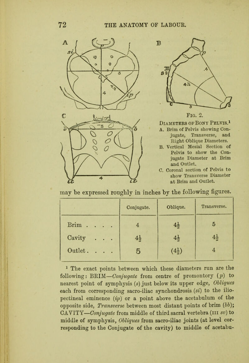 LABOUR. ISj J .4 Sill f ^ 1/ Fig. 2. Diameters of Bony Pelvis.^ A. Brim of Pelvis showing Con- jugate, Transverse, and Right Oblique Diameters. B. Vertical Mesial Section of Pelvis to show the Con- jugate Diameter at Brim and Outlet. C. Coronal section of Pelvis to show Transverse Diameter at Brim and Outlet, may be expressed roughly in inches by the following figures. Conjugate. Oblique. Transverse. Brim .... 4 4i 5 Cavity . . . % Outlet. . . . 5 (4i) 4 1 The exact points between which these diameters run are the following: BRIM—Conjugate from centre of promontory (^) to nearest point of symphysis (5) just below its upper edge, Obliques each from corresponding sacro-iliac synchondrosis {si) to the ilio- pectineal eminence {ip) or a point above the acetabulum of the opposite side, Transverse between most distant points of brim (&&); GKYITY—Conjugate from middle of third sacral vertebra (iii sv) to middle of symphysis, Obliques from sacro-iliac joints (at level cor- responding to the Conjugate of the cavity) to middle of acetabu-