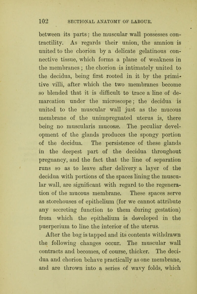 between its parts; the muscular wall possesses con- tractility. As regards their union, the amnion is united to the chorion by a delicate gelatinous con- nective tissue, which forms a plane of weakness in the membranes ; the chorion is intimately united to the decidua, being first rooted in it by the primi- tive villi, after which the two membranes become so blended that it is difficult to trace a line of de- marcation under the microscope; the decidua is united to the muscular wall just as the mucous membrane of the unimpregnated uterus is, there being no muscularis mucosae. The peculiar devel- opment of the glands produces the spongy portion of the decidua. The persistence of these glands in the deepest part of the decidua throughout pregnancy, and the fact that the line of separation runs so as to leave after delivery a layer of the decidua with portions of the spaces lining the muscu- lar wall, are significant with regard to the regenera- tion of the mucous membrane. These spaces serve as storehouses of epithelium (for we cannot attribute any secreting function to them during gestation) from which the epithelium is developed in the puerperium to line the interior of the uterus. After the bag is tapped and its contents withdrawn the following changes occur. The muscular wall contracts and becomes, of course, thicker. The deci- dua and chorion behave practically as one membrane, and are thrown into a series of wavy folds, which