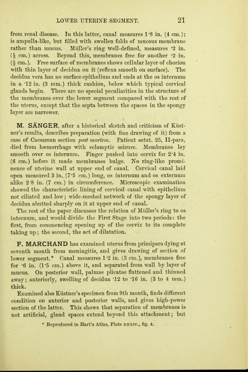 from renal disease. In this latter, canal measures 1'8 in. (4 cm,); is ampulla-like, but filled with swollen folds of mucous membrane rather than mucus. MiiUer's ring well-defined, measures '2 in. (I cm.) across. Beyond this, membranes free for another '2 in. cm.). Free surface of membranes shows cellular layer of chorion with thin layer of decidua on it (reflexa smooth on surface). The decidua vera has no surface epithelium and ends at the os internum in a '12 in. (-3 mm.) thick cushion, below which typical cervical glands begin. There are no special peculiarities in the structure of the membranes over the lower segment compared with the rest of the uterus, except that the septa between the spaces in the spongy layer are narrower. I M, SANGER, after a historical sketch and criticism of Kiist- iier's results, describes preparation (with fine drawing of it) from a case of Caesarean section post mortem. Patient aetat. 25, Il-para, died from haemorrhage with eclamptic seizure. Membranes lay smooth over os internum. Finger pushed into cervix for 2*4; in. (6 cm.) before it made membranes bulge. No ring-like promi- nence of uterine wall at upper end of canal. Cervical canal laid open measured 3 in., (7*5 cm,) long, os internum and os externum alike 2'8 in. (7 cm.) in circumference. Microscopic examination showed the characteristic lining of cervical canal with epithelium not ciliated and low; wide-meshed network of the spongy layer of decidua abutted sharply on it at upper end of canal. The rest of the paper discusses the relation of Miiller's ring to os internum, and would divide the First Stage into two periods: the first, from commencing opening up of the cervix to its complete taking up ; the second, the act of dilatation. F. MARCH AND has examined uterus from primipara dying at seventh month from meningitis, and gives drawing of section of lower segment.* Canal measures 1*2 in. (3 cm.), membranes free for 6 in. (1*5 cm.) above it, and separated from wall by layer of mucus. On posterior wall, palmae plicatae flattened and thinned away; anteriorly, swelling of decidua '12 to '16 in, (3 to 4 mm,) thick. Examined also Kiistner's specimen from 9th month, finds different condition on anterior and posterior walls, and gives high-power section of the latter. This shows that separation of membranes is not artificial, gland spaces extend beyond this attachment; but