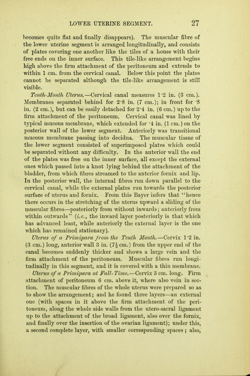 hecomes quite flat and finally disappears). The muscular fibre of the lower uterine segment is arranged longitudinally, and consists of plates covering one another like the tiles of a house with their free ends on the inner surface. This tile-like arrangement begins high above the firm attachment of the peritoneum and extends to within 1 cm. from the cervical canal. Below this point the plates cannot be separated although the tile-like arrangement is still visible. Tenth-Month Uterus.—Cervical canal measures 12 in. (3 cm.). ]\[embranes separated behind for 2'8 in. (7 cm.); in front for '8 in. (2 cm,), but can be easily detached for 2*4 in. (6 cm.) up to the firm attachment of the peritoneum. Cervical canal was lined by typical mucous membrane, which extended for '4 in. (1 cm.) on the posterior wall of the lower segment. Anteriorly was transitional mucous membrane passing into decidua. The muscular tissue of the lower segment consisted of superimposed plates which could be separated without any difficulty. In the anterior wall the end of the plates was free on the inner surface, all except the external ones which passed into a knot lying behind the attachment of the bladder, from which fibres streamed to the anterior fornix and lip. In the posterior wall, the internal fibres run down })arallel to the cervical canal, while the external plates run towards the posterior surface of uterus and fornix. From this Bayer infers that hence there occurs in the stretching of the uterus upward a sliding of the muscular fibres—posteriorly from without inwards; anteriorly from within outwards {i.e., the inward layer posteriorly is that which has advanced least, while anteriorly the external layer is the one which has remained stationary). Uterus of a Primipara from the Tenth Month.—Cervix 1'2 in. (3 cm.) long, anterior wall 3 in. (T^cm.) from the upper end of the canal becomes suddenly thicker and shows a large vein and the firm attachment of the peritoneum. ^luscular fibres run longi- tudinally in this segment, and it is covered with a thin membrane. Uterus of a Primipara at Full-Time,—Cervix 3 cm. long. Firm nttachment of peritoneum 6 cm. above it, where also vein in sec- tion. The muscular fibres of the whole uterus were prejiared so as to show the arrangement; and he found tliree layers—an external one (with spaces in it above the firm attachment of the peri- toneum, along the whole side walls from tlie utero-sacral ligament up to the attachment of the broad ligament, also over the fornix, and finally over the insertion of the ovarian ligament); under this, a second complete layer, with smaller corresponding si)aces ; also,