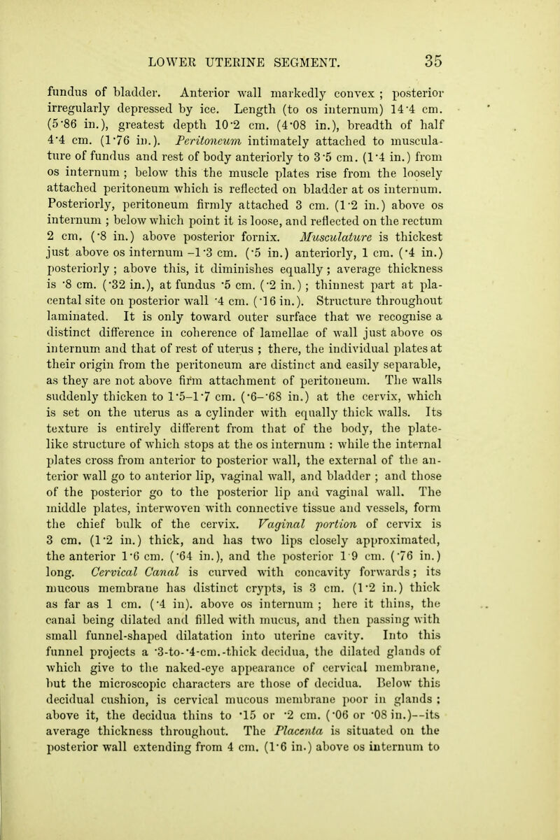 fundus of bladder. Anterior wall markedly convex ; posterior irregularly depressed by ice. Length (to os internum) 14-4 cm, (5-86 in.), greatest depth 10-2 cm. (4-08 in.), breadth of half 4'4 cm. (176 in.). Fcritoncxim intimately attached to muscula- ture of fundus and rest of body anteriorly to 3*5 cm. (14 in.) from OS internum ; below this the muscle plates rise from the loosely attached peritoneum which is reflected on bladder at os internum. Posteriorly, peritoneum firmly attached 3 cm. (1'2 in.) above os internum ; below which point it is loose, and reflected on the rectum 2 cm. (-8 in.) above posterior fornix. Musculature is thickest just above os internum -1'3 cm. (-.5 in.) anteriorly, 1 cm. ('4 in.) posteriorly ; above this, it diminishes equally; average thickness is '8 cm. (32 in.), at fundus 5 cm. ('2 in.) ; thinnest part at pla- cental site on posterior wall '4 cm. ('16 in.). Structure throughout laminated. It is only toward outer surface that we recognise a distinct diff'erence in coherence of lamellae of wall just above os internum, and that of rest of uterus ; there, the individual plates at their origin from the peritoneum are distinct and easily separable, as they are not above firm attachment of peritoneum. The walls suddenly thicken to 1*5-1'7 cm. ('6-68 in.) at the cervix, which is set on the uterus as a cylinder with equally thick Avails. Its texture is entirely different from that of the body, the plate- like structure of which stops at the os internum : while the internal plates cross from anterior to posterior wall, the external of the an- terior wall go to anterior lip, vaginal wall, and bladder ; and those of the posterior go to the posterior lip and vaginal wall. The middle plates, interwoven with connective tissue and vessels, form the chief bulk of the cervix. Vaginal 'portion of cervix is 3 cm. (1'2 in.) thick, and has two lips closely approximated, the anterior 1*6 cm. ('64 in.), and the posterior 19 cm, ('76 in.) long. Cervical Canal is curved with concavity forwards; its mucous membrane has distinct crypts, is 3 cm. (1*2 in,) thick as far as 1 cm. ('4 in), above os internum ; here it thins, the canal being dilated and filled with mucus, and then passing with small funnel-shaped dilatation into uterine cavity. Into this funnel projects a •3-to-*4-cm.-thick decidua, the dilated glands of which give to the naked-eye appearance of cervical membrane, Imt the microscopic characters are those of decidua. Below this decidual cushion, is cervical mucous membrane poor in glands ; above it, the decidua thins to '15 or '2 cm. ('06 or '08 in.)—its average thickness throughout. The Placenta is situated on the posterior wall extending from 4 cm. (1*6 in.) above os internum to