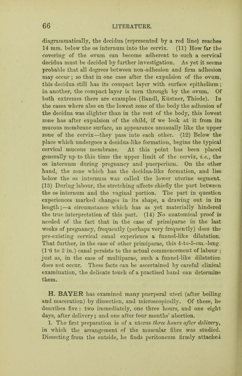 diagrammatically, the decidua (represented by a red line) reaches 14 mm. below the os internum into the cervix. (11) How far the covering of the ovum can become adherent to such a cervical decidua must be decided by further investigation. As yet it seems probable that all degrees between non-adhesion and firm adhesion may occur; so that in one case after the expulsion of the ovum, this decidua still has its compact layer with surface epithelium; in another, the compact layer is torn through by the ovum. Of both extremes there are examples (Bandl, Kiistner, Thiede). In the cases where also on the lowest zone of the body the adhesion of the decidua was slighter than in the rest of the body, this lowest zone has after expulsion of the child, if we look at it from its mucous membrane surface, an appearance unusually like the upper zone of the cervix—they pass into each other. (12) Below the place which undergoes a decidua-like formation, begins the typical cervical mucous membrane. At this point has been placed generally up to this time the upper limit of the cervix, i.e., the OS internum during pregnancy and puerperium. On the other hand, the zone which has the decidua-like formation, and lies below the os internum was called the lower uterine segment. (13) During labour, the stretching affects chiefly the part between the OS internum and the vaginal portion. The part in question experiences marked changes in its shape, a drawing out in its length;—a circumstance which has as yet materially hindered the true interpretation of this part. (14) Ko anatomical proof is needed of the fact that in the case of primiparae in the last weeks of pregnancy, frequentl}' (perhaps very frequently) does the pre-existing cervical canal experience a funnel-like dilatation. That further, in the case of other primiparae, this 4-to-5-cm.-long. (16 to 2 in.) canal persists to the actual commencement of labour ; just as, in the case of multiparae, such a funnel-like dilatation does not occur. These facts can be ascertained by careful clinical examination, the delicate touch of a practised hand can determine them. H. BAYER has examined many puerperal uteri (after boiling and maceration) by dissection, and microscopically. Of these, he describes five : two immediately, one three hours, and one eight days, after delivery; and one after four months' abortion. I. The first preparation is of a uterus three hours after delivery, in which the arrangement of the muscular fibre was studied. Dissecting from the outside, he finds peritoneum firmly attached