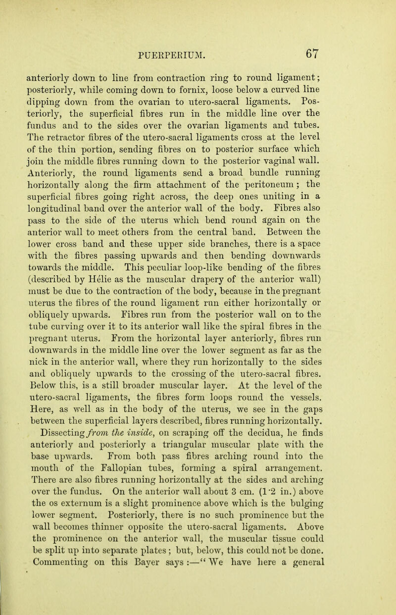 anteriorly down to line from contraction ring to round ligament; posteriorly, while coming down to fornix, loose below a curved line dipping down from the ovarian to utero-sacral ligaments. Pos- teriorly, the superficial fibres run in the middle line over the fundus and to the sides over the ovarian ligaments and tubes. The retractor fibres of the utero-sacral ligaments cross at the level of the thin portion, sending fibres on to posterior surface which join the middle fibres running down to the posterior vaginal wall. Anteriorly, the round ligaments send a broad bundle running horizontally along the firm attachment of the peritoneum ; the superficial fibres going right across, the deep ones uniting in a longitudinal band over the anterior wall of the body. Fibres also pass to the side of the uterus which bend round again on the anterior wall to meet others from the central band. Between the lower cross band and these upper side branches, there is a space with the fibres passing upwards and then bending downwards towards the middle. This peculiar loop-like bending of the fibres (described by Helie as the muscular drapery of the anterior wall) must be due to the contraction of the body, because in the pregnant uterus the fibres of the round ligament run either horizontally or obliquely upwards. Fibres run from the posterior wall on to the tube curving over it to its anterior wall like the spiral fibres in the pregnant uterus. From the horizontal layer anteriorly, fibres run downwards in the middle line over the lower segment as far as the nick in the anterior wall, where they run horizontally to the sides and obliquely upwards to the crossing of the utero-sacral fibres. Below this, is a still broader muscular layer. At the level of the utero-sacral ligaments, the fibres form loops round the vessels. Here, as well as in the body of the uterus, we see in the gaps between the superficial layers described, fibres running horizontally. Dissecting/row the inside, on scraping off the decidua, he finds anteriorly and posteriorly a triangular muscular plate with the base upAvards. From both pass fibres arching round into the mouth of the Fallopian tubes, forming a spiral arrangement. There are also fibres running horizontally at the sides and arching over the fundus. On the anterior wall about 3 cm. (1*2 in.) above the OS externum is a slight prominence above which is the bulging lower segment. Posteriorly, there is no such prominence but the wall becomes thinner opposite the utero-sacral ligaments. Above the prominence on the anterior wall, the muscular tissue could be split up into separate i)lates ; but, below, this could not be done. Commenting on this Bayer says :— We have here a general