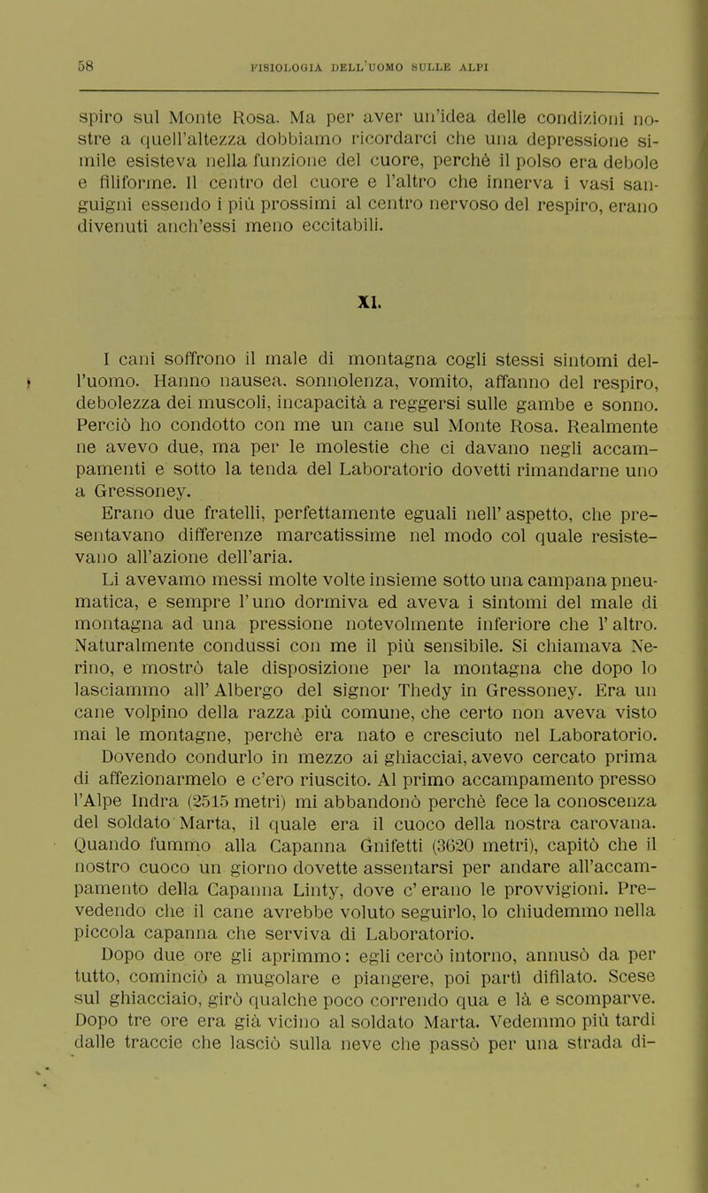 spiro sul Monte Rosa. Ma per aver un'idea delle condizioni no- stre a quell'altezza dobbiamo ricordarci che una depressione si- mile esisteva nella funzione del cuore, perchè il polso era debole c filiforme. Il centro del cuore e l'altro che innerva i vasi san- guigni essendo i più prossimi al centro nervoso del respiro, erano divenuti anch'essi meno eccitabili. XI. I cani soffrono il male di montagna cogli stessi sintomi del- I l'uomo. Hanno nausea, sonnolenza, vomito, affanno del respiro, debolezza dei muscoli, incapacità a reggersi sulle gambe e sonno. Perciò ho condotto con me un cane sul Monte Rosa. Realmente ne avevo due, ma per le molestie che ci davano negli accam- pamenti e sotto la tenda del Laboratorio dovetti rimandarne uno a Gressoney. Erano due fratelli, perfettamente eguali nell' aspetto, che pre- sentavano differenze marcatissime nel modo col quale resiste- vano all'azione dell'aria. Li avevamo messi molte volte insieme sotto una campana pneu- matica, e sempre l'uno dormiva ed aveva i sintomi del male di montagna ad una pressione notevolmente inferiore che 1' altro. Naturalmente condussi con me il più sensibile. Si chiamava Ne- rino, e mostrò tale disposizione per la montagna che dopo lo lasciammo all' Albergo del signor Thedy in Gressoney. Era un cane volpino della razza più comune, che certo non aveva visto mai le montagne, perchè era nato e cresciuto nel Laboratorio. Dovendo condurlo in mezzo ai ghiacciai, avevo cercato prima di affezionarmelo e c'ero riuscito. Al primo accampamento presso l'Alpe Indra (2515 metri) mi abbandonò perchè fece la conoscenza del soldato Marta, il quale era il cuoco della nostra carovana. Quando fummo alla Capanna Gnifetti (3620 metri), capitò che il nostro cuoco un giorno dovette assentarsi per andare all'accam- pamento della Capanna Linty, dove c' erano le provvigioni. Pre- vedendo che il cane avrebbe voluto seguirlo, lo chiudemmo nella piccola capanna che serviva di Laboratorio. Dopo due ore gli aprimmo : egli cercò intorno, annusò da per tutto, cominciò a mugolare e piangere, poi parti difilato. Scese sul ghiacciaio, girò qualche poco correndo qua e là e scomparve. Dopo tre ore era già vicino al soldato Marta. Vedemmo più tardi dalle traccie che lasciò sulla neve che passò per una strada di-