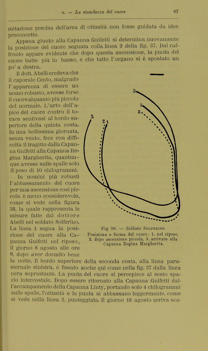 mitazione precisa dell'area di ottusità non fosse guidata da idee preconcette. Appena giunto alla Capanna Gnifetti si determina nuovamente la posizione del cuore segnata colla linea % della flg. 37. Dal raf- fronto appare evidente che dopo questa ascensione, la punta del cuore batte più in basso, e che tutto l'organo si è spostato un po' a destra. 11 dott. Abelli credeva che il caporale Cento, malgrado T apparenza di essere un uomo robusto, avesse forse il cuore alquanto più piccolo del normale. L'urto dell'a- pice del cuore contro il to- race sentivasi al bordo su- periore della quinta costa. In una bellissima giornata, senza vento, fece con diffi- coltà il tragitto dalla Capan- na Gnifetti alla Capanna Re- gina Margherita, quantun- que avesse sulle spalle solo il peso di 10 chilogrammi. In uomini più robusti l'abbassamento del cuore per una ascensione così pic- cola è meno considerevole, come si vede nella figura 38, la quale rappresenta le misure fatte dal dottore Abelli nel soldato Solferino. La linea 1 segna la posi- zione del cuore alla Ca- panna Gnifetti nel riposo, il giorno 8 agosto alle ore 8, dopo aver dormito bene la notte. Il bordo superiore della seconda costa, alla linea para- sternale sinistra, è fissato anche qui come nella fig. 37 dalla linea nera soprastante. La punta del cuore si percepisce al sesto spa- zio intercostale. Dopo essere ritornato alla Capanna Gnifetti dal- l'accampamento della Capanna Linty, portando solo 4 chilogrammi sulle spalle, l'ottusità e la punta si abbassano leggermente, come si vede nella linea 2, punteggiata. Il giorno 18 agosto arriva sca- Fig 38. — Soldato Solferino. Posizione e forma del cuore: 1. nel riposo, 2. dopo ascensione piccola, 3. arrivato alla Capanna Regina Margherita.