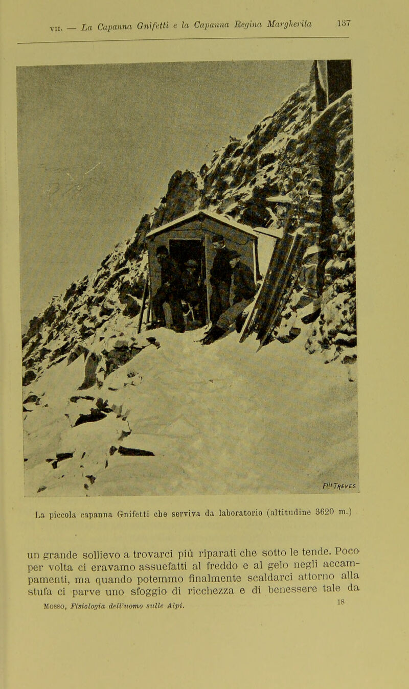 un grande sollievo a trovarci più riparati che sotto le tende. Poco per volta ci eravamo assuefatti al freddo e al gelo negli accam- pamenti, ma quando potemmo finalmente scaldarci attorno alla stufa ci parve uno sfoggio di ricchezza e di benessere tale da 18 Mosso, Fisiologia dell'uomo sitile Alpi.