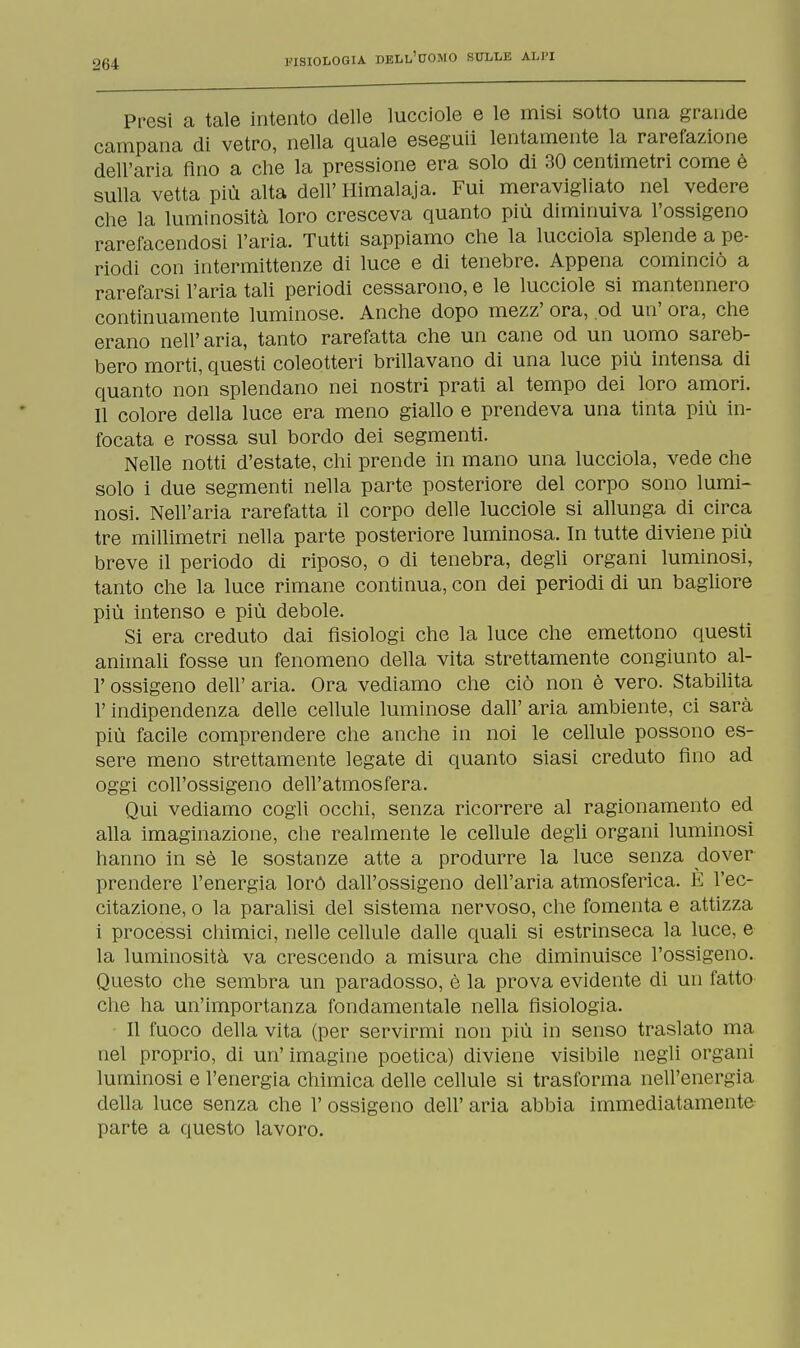 Presi a tale intento delle lucciole e le misi sotto una grande campana di vetro, nella quale eseguii lentamente la rarefazione dell'aria Ano a che la pressione era solo di 30 centimetri come è sulla vetta più alta dell' Himalaja. Fui meravigliato nel vedere che la luminosità loro cresceva quanto più diminuiva l'ossigeno rarefacendosi l'aria. Tutti sappiamo che la lucciola splende a pe- riodi con intermittenze di luce e di tenebre. Appena cominciò a rarefarsi l'aria tali periodi cessarono, e le lucciole si mantennero continuamente luminose. Anche dopo mezz' ora, od un' ora, che erano nell'aria, tanto rarefatta che un cane od un uomo sareb- bero morti, questi coleotteri brillavano di una luce più intensa di quanto non splendano nei nostri prati al tempo dei loro amori. Il colore della luce era meno giallo e prendeva una tinta più in- focata e rossa sul bordo dei segmenti. Nelle notti d'estate, chi prende in mano una lucciola, vede che solo i due segmenti nella parte posteriore del corpo sono lumi- nosi. Nell'aria rarefatta il corpo delle lucciole si allunga di circa tre millimetri nella parte posteriore luminosa. In tutte diviene più breve il periodo di riposo, o di tenebra, degli organi luminosi, tanto che la luce rimane continua, con dei periodi di un bagliore più intenso e più debole. Si era creduto dai fisiologi che la luce che emettono questi animali fosse un fenomeno della vita strettamente congiunto al- l' ossigeno dell' aria. Ora vediamo che ciò non è vero. Stabilita l'indipendenza delle cellule luminose dall' aria ambiente, ci sarà più facile comprendere che anche in noi le cellule possono es- sere meno strettamente legate di quanto siasi creduto fino ad oggi coll'ossigeno dell'atmosfera. Qui vediamo cogli occhi, senza ricorrere al ragionamento ed alla imaginazione, che realmente le cellule degli organi luminosi hanno in sè le sostanze atte a produrre la luce senza dover prendere l'energia loró dall'ossigeno dell'aria atmosferica. E l'ec- citazione, o la paralisi del sistema nervoso, che fomenta e attizza i processi chimici, nelle cellule dalle quali si estrinseca la luce, e la luminosità va crescendo a misura che diminuisce l'ossigeno. Questo che sembra un paradosso, è la prova evidente di un fatto che ha un'importanza fondamentale nella fisiologia. Il fuoco della vita (per servirmi non più in senso traslato ma nel proprio, di un' imagi ne poetica) diviene visibile negli organi luminosi e l'energia chimica delle cellule si trasforma nell'energia della luce senza che 1' ossigeno dell' aria abbia immediatamente parte a questo lavoro.