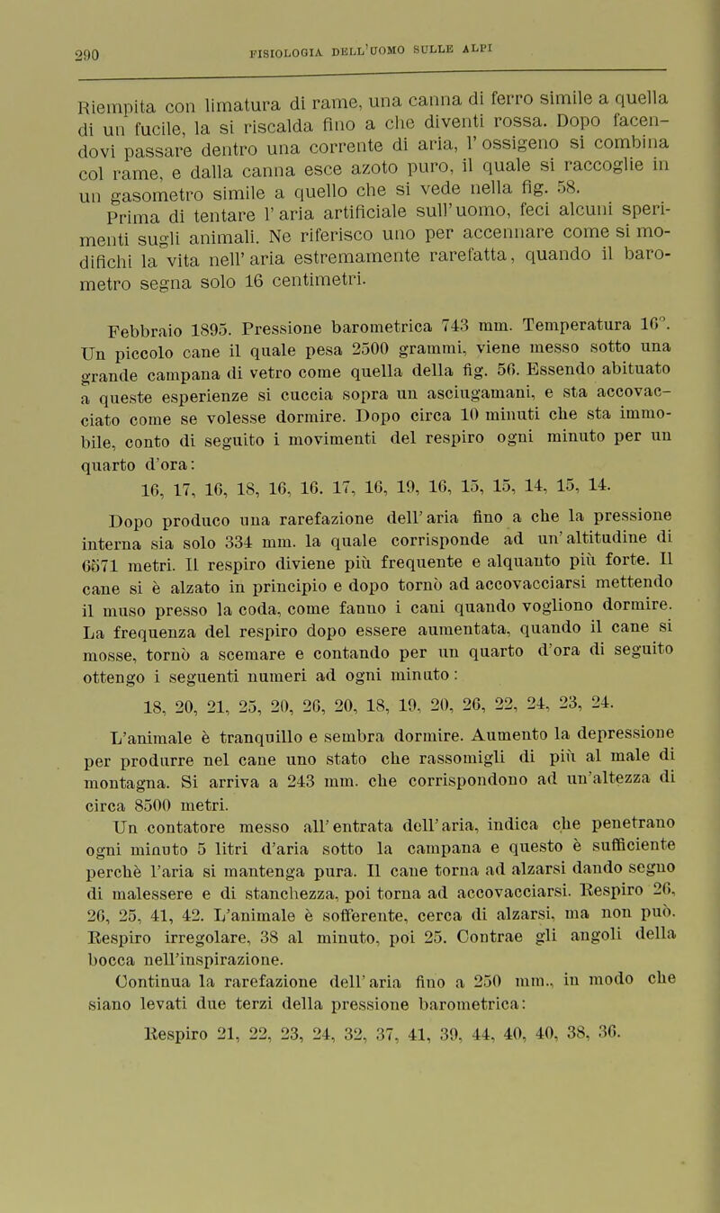 Riempita con limatura di rame, una canna di ferro simile a quella di un fucile la si riscalda Ano a che diventi rossa. Dopo facen- dovi passare dentro una corrente di aria, 1' ossigeno si combina col rame, e dalla canna esce azoto puro, il quale si raccoglie in un gasometro simile a quello che si vede nella fig. 58. Prima di tentare l'aria artificiale sull'uomo, feci alcuni speri- menti sugli animali. Ne riferisco uno per accennare come si mo- difichi latita nell'aria estremamente rarefatta, quando il baro- metro segna solo 16 centimetri. Febbraio 1895. Pressione barometrica 743 min. Temperatura 10°. Un piccolo cane il quale pesa 2500 grammi, viene messo sotto una grande campana di vetro come quella della fig. 50. Essendo abituato a queste esperienze si cuccia sopra un asciugamani, e sta accovac- ciato come se volesse dormire. Dopo circa 10 minuti che sta immo- bile, conto di seguito i movimenti del respiro ogni minuto per un quarto d'ora: 16, 17, 16, 18, 16, 16. 17, 16, 19, 16, 15, 15, 14, 15, 14. Dopo produco ima rarefazione dell'aria fino a che la pressione interna sia solo 334 mm. la quale corrisponde ad un'altitudine di 6571 metri. Il respiro diviene più frequente e alquanto più forte. 11 cane si è alzato in principio e dopo tornò ad accovacciarsi mettendo il muso presso la coda, come fanno i cani quando vogliono dormire. La frequenza del respiro dopo essere aumentata, quando il cane si mosse, tornò a scemare e contando per un quarto d'ora di seguito ottengo i seguenti numeri ad ogni minato : 18, 20, 21, 25, 20, 26, 20, 18, 19, 20, 26, 22, 24, 23, 24. L'animale è tranquillo e sembra dormire. Aumento la depressione per produrre nel cane uno stato che rassomigli di più al male di montagna. Si arriva a 243 mm. che corrispondono ad un'altezza di circa 8500 metri. Un contatore messo all' entrata dell' aria, indica che penetrano ogni minuto 5 litri d'aria sotto la campana e questo è sufficiente perchè l'aria si mantenga pura. Il cane torna ad alzarsi dando seguo di malessere e di stanchezza, poi torna ad accovacciarsi. Eespiro 26, 26, 25, 41, 42. L'animale è sofferente, cerca di alzarsi, ma non può. Eespiro irregolare, 38 al minuto, poi 25. Contrae gli angoli della bocca nell'inspirazione. Continua la rarefazione dell'aria fino a 250 mm., in modo che siano levati due terzi della pressione barometrica: Eespiro 21, 22, 23, 24, 32, 37, 41, 39, 44, 40, 40, 38, 36.