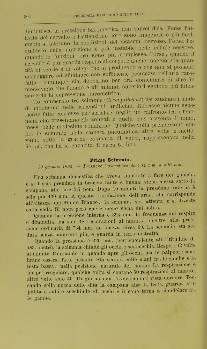 diminuisce la pressione barometrica non saprei dire. Forse l'at- tività del cervello e l'attenzione loro sono maggiori, e più facil- mente si alterano le condizioni del sistema nervoso. Forse, l'e- quilibrio della nutrizione è più instabile nelle cellule nervose, nuando le funzioni loro sono più complesse. Forse, quando il cervello è più grande rispetto al corpo, è anche maggiore la quan- tità di scorie e di veleni che si producono e che non si possono distruggere od eliminare con sufficiente prontezza nell'aria rare- fatta comunque sia, dobbiamo per ora contentarci di dire in modo vago che l'uomo e gli animali superiori sentono più inten- samente la depressione barometrica. Ho comperato tre scimmie (Cercopithecus) per studiare il male di montagna nelle ascensioni artificiali. Riferisco alcune espe- rienze fatte con esse per stabilire meglio un raffronto tra i feno- meni che presentano gli animali e quelli che presenta 1' uomo, messi nelle medesime condizioni. Qualche volta prendevamo con noi le scimmie nella camera pneumatica, altre volte le mette- vamo sotto la grande campana di vetro, rappresentata nella fig. 56, che ha la capacità di circa 60 litri. Prima Scimmia. 30 gennaio 1895. — Pressione barometrica da 734 mm. a 320 mm. Una scimmia domestica che aveva imparato a fare dei giuochi, e si lascia prendere in braccio tanto è buona, viene messa sotto la campana alle ore 2,5 pom. Dopo 10 minuti la pressione interna è solo più 430 mm. A questa rarefazione dell' aria, che corrisponde all'altezza del Monte Bianco, la scimmia sta attenta e si diverte colla coda. Si nota però che è meno vispa del solito. Quando la pressione interna è 394 mm. la frequenza del respiro è diminuita. Fa solo 48 respirazioni al minuto, mentre alla pres- sione ordinaria di 734 mm. ne faceva circa 60. La scimmia sta se- duta senza muoversi più, e guarda in terra distratta. Quando la pressione è 320 mm. (corrispondente all'altitudine di 4837 metri), la scimmia chiude gli occhi e sonnecchia. Eespira 42 volte al minuto. Di quando in quando apre gli occhi, ma le palpebre sem- brano essersi fatte pesanti. Sta seduta colle mani fra le gambe e la testa bassa, nella posizione naturale del sonno. La respirazione e un po' irregolare, qualche volta si contano 50 respirazioni al minuto, altre volte solo 40. Di giorno non l'avevamo mai vista dormire. Toc- cando colla nocca delle dita la campana alza la testa, guarda istu- pidita e subito socchiude gli occhi e il capo torna a ciondolare fra le gambe.