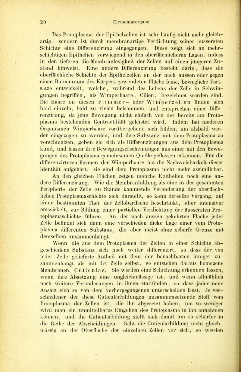Das Protoplasma der Epithelzellen ist sehr häufig nicht mehr gleich- artig, sondern ist durch membranartige Verdichtung seiner äussersten Schichte eine Differenzirung eingegangen. Diese zeigt sich an mehr- schichtigen Epithelien vorwiegend in den oberflächlicheren Lagen, indess in den tieferen die Membranlosigkeit der Zellen auf einen jüngeren Zu- stand hinweist. Eine andere Differenzirung besteht darin, dass die oberflächliche Schichte der Epithelzellen an der nach aussen oder gegen einen Binnenraum des Körpers gewendeten Fläche feine, bewegliche Fort- sätze entwickelt, welche, während des Lebens der Zelle in Schwin- gungen begriffen, als Wimperhaare, Cilien, bezeichnet worden sind. Die Haare an diesen Flimmer- oder Wirnperz eilen finden sich bald einzeln, bald zu vielen beisammen, und entsprechen einer Diffe- renzirung, da jene Bewegung nicht einfach von der bereits am Proto- plasma bestehenden Contractilität geleistet wird. Indem bei niederen Organismen Wimperhaare vorübergehend sich bilden, um alsbald wie- der eingezogen zu werden, und ihre Substanz mit dem Protoplasma zu verschmelzen, geben sie sich als Differenzirungen aus dem Protoplasma kund, und lassen ihre Bewegungserscheinungen aus einer mit den Bewe- gungen des Protoplasma gemeinsamen Quelle geflossen erkennen. Für die differenzirteren Formen der Wimperhaare hat die Nachweisbarkeit dieser Identität aufgehört, sie sind dem Protoplasma nicht mehr assimilirbar. An den gleichen Flächen zeigen manche Epithelien noch eine an- dere Differenzirung. Wie die Membranbildung als eine in der gesammten Peripherie der Zelle zu Stande kommende Veränderung der oberfläch- lichen Protoplasmaschichte sich darstellt, so kann derselbe Vorgang, auf einen bestimmten Theil der Zelloberfläche beschränkt, aber intensiver entwickelt, zur Bildung einer partiellen Verdichtung der äussersten Pro- toplasmaschichte führen. An der nach aussen gekehrten Fläche jeder Zelle befindet sich dann eine verschieden dicke Lage einer vom Proto- plasma differenten Substanz, die aber meist ohne scharfe Grenze mit demselben zusammenhängt. Wenn die aus dem Protoplasma der Zellen in einer Schichte ab- geschiedene Substanz sich noch weiter differenzirt, so dass der von jeder Zelle gelieferte Antheil mit dem der benachbarten inniger zu- sammenhängt als mit der Zelle selbst, so entstehen daraus homogene Membranen, Cuticulae. Sie werden eine Schichtung erkennen lassen, wenn ihre Absetzung eine ungleichmässige ist, und wenn allmählich noch weitere Veränderungen in ihnen stattfinden , so dass jeder neue Ansatz sich so von dem vorhergegangenen unterscheiden lässt. Je ver- schiedener der diese Cuticularbildungen zusammensetzende Stoff vom Protoplasma der Zellen ist, die ihn abgesetzt haben, um so weniger wird man ein unmittelbares Eingehen des Protoplasma in ihn annehmen können, und die Cuticularbildung stellt sich damit um so schärfer in die Reihe der Abscheidungen. Geht die Cuticularbildung nicht gleich- mässig an der Oberfläche der einzelnen Zellen vor sich, so werden
