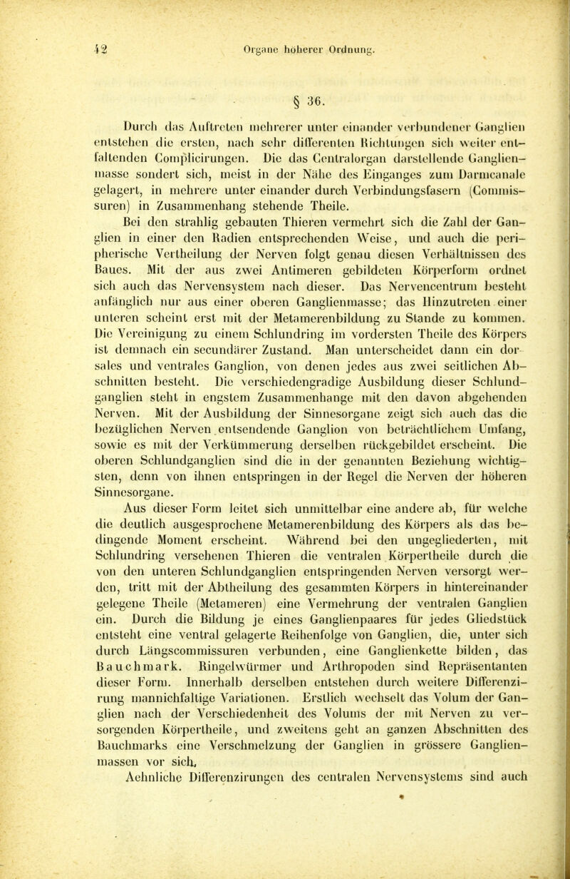§ 36. Durch das Auftreten mehrerer unter einander verbundener Ganglien entstehen die ersten, nach sehr diflerenten Richtungen sich weiter ent- faltenden Complicirungen. Die das Cenlralorgan darstellende Ganglien- niasse sondert sich, meist in der Nähe des Einganges zum Darmcanale gelagert, in mehrere unter einander durch Verbindungsfasern (Commis- suren) in Zusammenhang stehende Theile. Bei den strahlig gebauten Thieren vermehrt sich die Zahl der Gan- glien in einer den Radien entsprechenden Weise, und auch die peri- pherische Vertheilung der Nerven folgt genau diesen Verhältnissen des Baues. Mit der aus zwei Antimeren gebildeten Körperform ordnet sich auch das Nervensystem nach dieser. Das Nervencentrum besteht anfänglich nur aus einer oberen Ganglienniasse; das Hinzutreten einer unleren scheint erst mit der Metamerenbildung zu Stande zu kommen. Die Vereinigung zu einem Schlundring im vordersten Theile des Körpers ist demnach ein secundärer Zustand. Man unterscheidet dann ein dor sales und ventrales Ganglion, von denen jedes aus zwei seitlichen Ab- schnitten besteht. Die verschiedengradige Ausbildung dieser Schlund- ganglien steht in engstem Zusammenhange mit den davon abgehenden Nerven. Mit der Ausbildung der Sinnesorgane zeigt sich auch das die bezüglichen Nerven entsendende Ganglion von beträchtlichem Umfang, sowie es mit der Verkümmerung derselben rückgebildet erscheint. Die oberen Schlundganglien sind die in der genannten Beziehung wichtig- sten, denn von ihnen entspringen in der Regel die Nerven der höheren Sinnesorgane. Aus dieser Form leitet sich unmittelbar eine andere ab, für welche die deutlich ausgesprochene Metamerenbildung des Körpers als das be- dingende Moment erscheint. Während bei den ungegliederten, mit Schlundring versehenen Thieren die ventralen Körpertheile durch die von den unteren Schlundganglien entspringenden Nerven versorgt wer- den, tritt mit der Abtheilung des gesammten Körpers in hintereinander gelegene Theile (Metameren) eine Vermehrung der ventralen Ganglien ein. Durch die Bildung je eines Ganglienpaares für jedes Gliedstück entsteht eine ventral gelagerte Reihenfolge von Ganglien, die, unter sich durch Längscommissuren verbunden, eine Ganglienketle bilden, das Bauchmark. Ringelwürmer und Arthropoden sind Repräsentanten dieser Form. Innerhalb derselben entstehen durch weitere Differenzi- rung mannichfaltige Variationen. Erstlich wechselt das Volum der Gan- glien nach der Verschiedenheit des Volums der mit Nerven zu ver- sorgenden Körpertheile, und zweitens geht an ganzen Abschnitten des Bauchmarks eine Verschmelzung der Ganglien in grössere Ganglien- massen vor sich, Aehnliche Diflerenzirungen des centralen Nervensystems sind auch