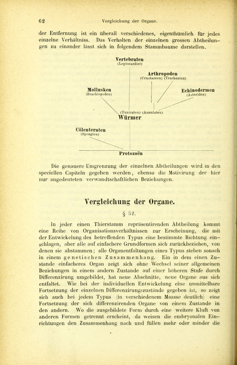 der Entfernung ist ein überall verschiedenes, eigentümlich für jedes einzelne Verhältniss. Das Verhalten der einzelnen grossen Abtheilun- gen zu einander lässt sich in folgendem Stammbaume darstellen. Vertebraten (Leptocardier) Mollusken (BracMopoden) \^ (Tunicaten) (Annulaten) Würmer Cölenteraten (Spongien) Protozoen Die genauere Umgrenzung der einzelnen Abtheilungen wird in den speciellen Capiteln gegeben werden, ebenso die Motivirung der hier nur angedeuteten verwandtschaftlichen Beziehungen. Vergleichung der Organe. § 52. In jeder einen Thierstamm repräsentirenden Abtheilung kommt eine Reihe von Organisationsverhältnissen zur Erscheinung, die mit der Entwicklung des betreffenden Typus eine bestimmte Richtung ein- schlagen, aber alle auf einfachere Grundformen sich zurückbeziehen, von denen sie abstammen; alle Organentfaltungen eines Typus stehen sonach in einem genetischen Zusammenhang. Ein in dem einen Zu- stande einfacheres Organ zeigt sich ohne Wechsel seiner allgemeinen Beziehungen in einem andern Zustande auf einer höheren Stufe durch Differenzirung umgebildet, hat neue Abschnitte, neue Organe aus sich entfaltet. Wie bei der individuellen Entwickelung eine unmittelbare Fortsetzung der einzelnen Differenzirungszustände gegeben ist, so zeigt sich auch bei jedem Typus (in verschiedenem Maasse deutlich) eine Fortsetzung der sich differenzirenden Organe von einem Zustande in den andern. Wo die ausgebildete Form durch eine weitere Kluft von anderen Formen getrennt erscheint, da weisen die embryonalen Ein- richtungen den Zusammenhang nach und füllen mehr oder minder die Arthropoden (Crustaceen) (Tracheaten)