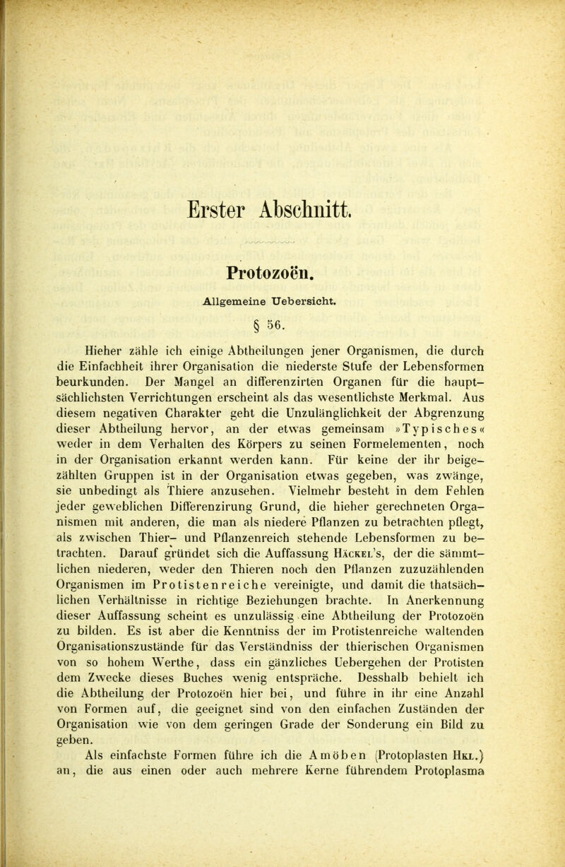 Erster Abschnitt. Protozoen. Allgemeine Ueb ersieht. § 56. Hieher zähle ich einige Abtheilungen jener Organismen, die durch die Einfachheit ihrer Organisation die niederste Stufe der Lebensformen beurkunden. Der Mangel an differenzirten Organen für die haupt- sächlichsten Verrichtungen erscheint als das wesentlichste Merkmal. Aus diesem negativen Charakter geht die Unzulänglichkeit der Abgrenzung dieser Abtheilung hervor, an der etwas gemeinsam »Typisches« weder in dem Verhalten des Körpers zu seinen Formelementen, noch in der Organisation erkannt werden kann. Für keine der ihr beige- zählten Gruppen ist in der Organisation etwas gegeben, was zwänge, sie unbedingt als Thiere anzusehen. Vielmehr besteht in dem Fehlen jeder geweblichen Differenzirung Grund, die hieher gerechneten Orga- nismen mit anderen, die man als niedere Pflanzen zu betrachten pflegt, als zwischen Thier- und Pflanzenreich stehende Lebensformen zu be- trachten. Darauf gründet sich die Auffassung Häckel's, der die sämmt- lichen niederen, weder den Thieren noch den Pflanzen zuzuzählenden Organismen im Protisten reiche vereinigte, und damit die thatsäch- lichen Verhältnisse in richtige Beziehungen brachte. In Anerkennung dieser Auffassung scheint es unzulässig eine Abtheilung der Protozoen zu bilden. Es ist aber die Kenntniss der im Protistenreiche waltenden Organisationszustände für das Verständniss der thierischen Organismen von so hohem Werthe, dass ein gänzliches Uebergehen der Protisten dem Zwecke dieses Buches wenig entspräche. Desshalb behielt ich die Abtheilung der Protozoen hier bei, und führe in ihr eine Anzahl von Formen auf, die geeignet sind von den einfachen Zuständen der Organisation wie von dem geringen Grade der Sonderung ein Bild zu geben. Als einfachste Formen führe ich die Amöben (Protoplasten Hkl.) an, die aus einen oder auch mehrere Kerne führendem Protoplasma