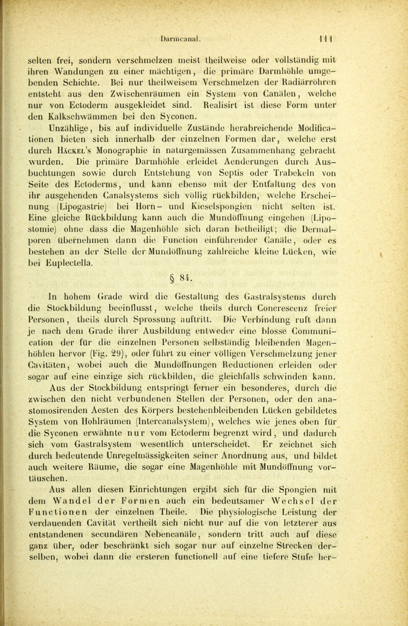 selten frei, sondern verschmelzen meist theilweise oder vollständig mit ihren Wandungen zu einer mächtigen, die primäre Darmhöhle umge- benden Schichte. Bei nur theilweisem Verschmelzen der Radiärröhren entsteht aus den Zwischenräumen ein System von Canälen, welche nur von Ectoderm ausgekleidet sind. Realisirt ist diese Form unter den Kalkschwämmen bei den Syconen. Unzählige, bis auf individuelle Zustände herabreichende Modifica- tionen bieten sich innerhalb der einzelnen Formen dar, welche erst durch Häckel's Monographie in naturgemässen Zusammenhang gebracht wurden. Die primäre Darmhöhle erleidet Aenderungen durch Aus- buchtungen sowie durch Entstehung von Septis oder Trabekeln von Seite des Ectoderms, und kann ebenso mit der Entfaltung des von ihr ausgehenden Ganalsystems sich völlig rückbilden, welche Erschei- nung (Lipogastrie) bei Horn- und Kieselspongien nicht selten ist. Eine gleiche Rückbildung kann auch die Mundöffnung eingehen (Lipo- stomie) ohne dass die Magenhöhle sich daran betheiligt; die Dermal- poren übernehmen dann die Function einführender Canäle, oder es bestehen an der Stelle der Mundöffnung zahlreiche kleine Lücken, wie bei Euplectella. § 84. In hohem Grade wird die Gestaltung des Gastraisystems durch die Slockbildung beeinflusst, welche theiis durch Concrescenz freier Personen, theiis durch Sprossung auftritt. Die Verbindung ruft dann je nach dem Grade ihrer Ausbildung entweder eine blosse Communi- cation der für die einzelnen Personen selbständig bleibenden Magen- höhlen hervor (Fig. 29), oder führt zu einer völligen Verschmelzung jener Ccivitäten, wobei auch die Mundöffnungen Reductionen erleiden oder sogar auf eine einzige sich rückbilden, die gleichfalls schwinden kann. Aus der Stockbildung entspringt ferner ein besonderes, durch die zwischen den nicht verbundenen Stellen der Personen, oder den ana- stomosirenden Aesten des Körpers bestehenbleibenden Lücken gebildetes System von Hohlräumen (Intercanalsystem), welches wie jenes oben für die Syconen erwähnte nur vom Ectoderm begrenzt wird, und dadurch sich vom Gastraisystem wesentlich unterscheidet. Er zeichnet sich durch bedeutende Unregelmässigkeiten seiner Anordnung aus, und bildet auch weitere Räume, die sogar eine Magenhöhle mit Mundöffnung vor- täuschen. Aus allen diesen Einrichtungen ergibt sich für die Spongien mit dem Wandel der Formen auch ein bedeutsamer Wechsel der Functionen der einzelnen Theile. Die physiologische Leistung der verdauenden Cavität vertheilt sich nicht nur auf die von letzterer aus entstandenen secundären Nebencanäle, sondern tritt auch auf diese ganz über, oder beschränkt sich sogar nur auf einzelne Strecken der- selben, wobei dann die ersteren functionell auf eine tiefere Stufe her-