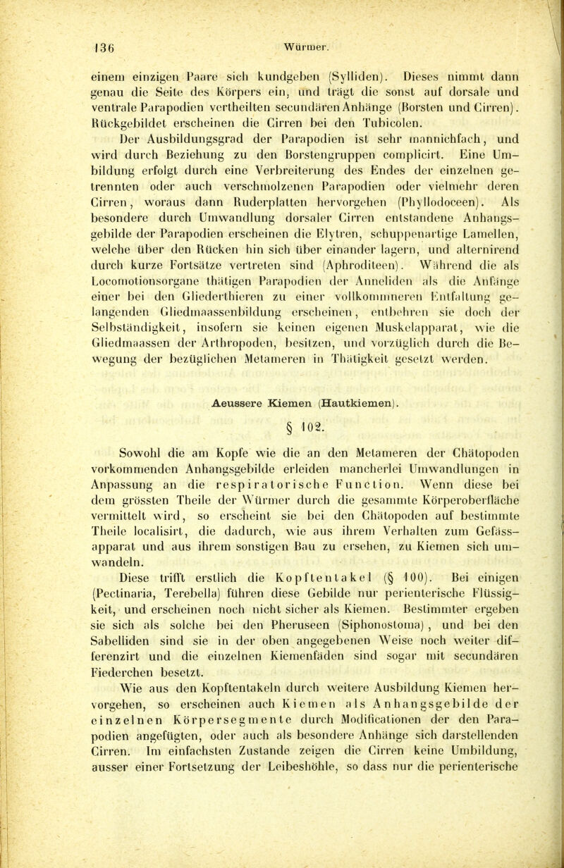 einem einzigen Paare sich kundgeben (Sylliden). Dieses nimmt dann genau die Seite des Körpers ein. und trägt die sonst auf dorsale und ventrale Parapodien vcrtheilten secundärenAnhänge (Borsten und Girren). Rückgebildet erscheinen die Girren bei den Tubicolen. Der Ausbildungsgrad der Parapodien ist sehr mannichfach, und wird durch Beziehung zu den Borstengruppen complicirt. Eine Um- bildung erfolgt durch eine Verbreiterung des Endes der einzelnen ge- trennten oder auch verschmolzenen Parapodien oder vielmehr deren Cirren, woraus dann Ruderplatten hervorgehen (Phyllodoceen). Als besondere durch Umwandlung dorsaler Cirren entstandene Anhangs- gebilde der Parapodien erscheinen die Elytren, schuppenartige Lamellen, welche über den Rücken hin sich über einander lagern, und alternirend durch kurze Fortsätze vertreten sind (Aphroditeen). Während die als Locomotionsorgane thätigen Parapodien der Anneliden als die Anfänge einer bei den Gliederthieren zu einer vollkommneren Entfaltung ge- langenden Gliedmaassenbildung erscheinen, entbehren sie doch der Selbständigkeit, insofern sie keinen eigenen Muskelapparat, wie die Gliedmaassen der Arthropoden, besitzen, und vorzüglich durch die Be- wegung der bezüglichen Metameren in Thätigkeit gesetzt werden. Aeussere Kiemen (Hautkiemen). § 102. Sowohl die am Kopfe wie die an den Metameren der Ghätopoden vorkommenden Anhangsgebilde erleiden mancherlei Umwandlungen in Anpassung an die respiratorische Function. Wenn diese bei dem grössten Theile der Würmer durch die gesammte Körperoberfläche vermittelt wird, so erscheint sie bei den Ghätopoden auf bestimmte Theile localisirt, die dadurch, wie aus ihrem Verhalten zum Gefäss- apparat und aus ihrem sonstigen Bau zu ersehen, zu Kiemen sich um- wandeln. Diese trifft erstlich die Kopftentakel (§ 100). Bei einigen (Pectinaria, Terebella) führen diese Gebilde nur perienterische Flüssig- keit, und erscheinen noch nicht sicher als Kiemen. Bestimmter ergeben sie sich als solche bei den Pheruseen (Siphonostoma) , und bei den Sabelliden sind sie in der oben angegebenen Weise noch weiter dif- ferenzirt und die einzelnen Kiemenfäden sind sogar mit secundären Fiederchen besetzt. Wie aus den Kopftentakeln durch weitere Ausbildung Kiemen her- vorgehen, so erscheinen auch Kiemen als Anhangsgebilde der einzelnen Kör per Segmente durch Modifikationen der den Para- podien angefügten, oder auch als besondere Anhänge sich darstellenden Cirren. Im einfachsten Zustande zeigen die Cirren keine Umbildung, ausser einer Fortsetzung der Leibeshöhle, so dass nur die perienterische