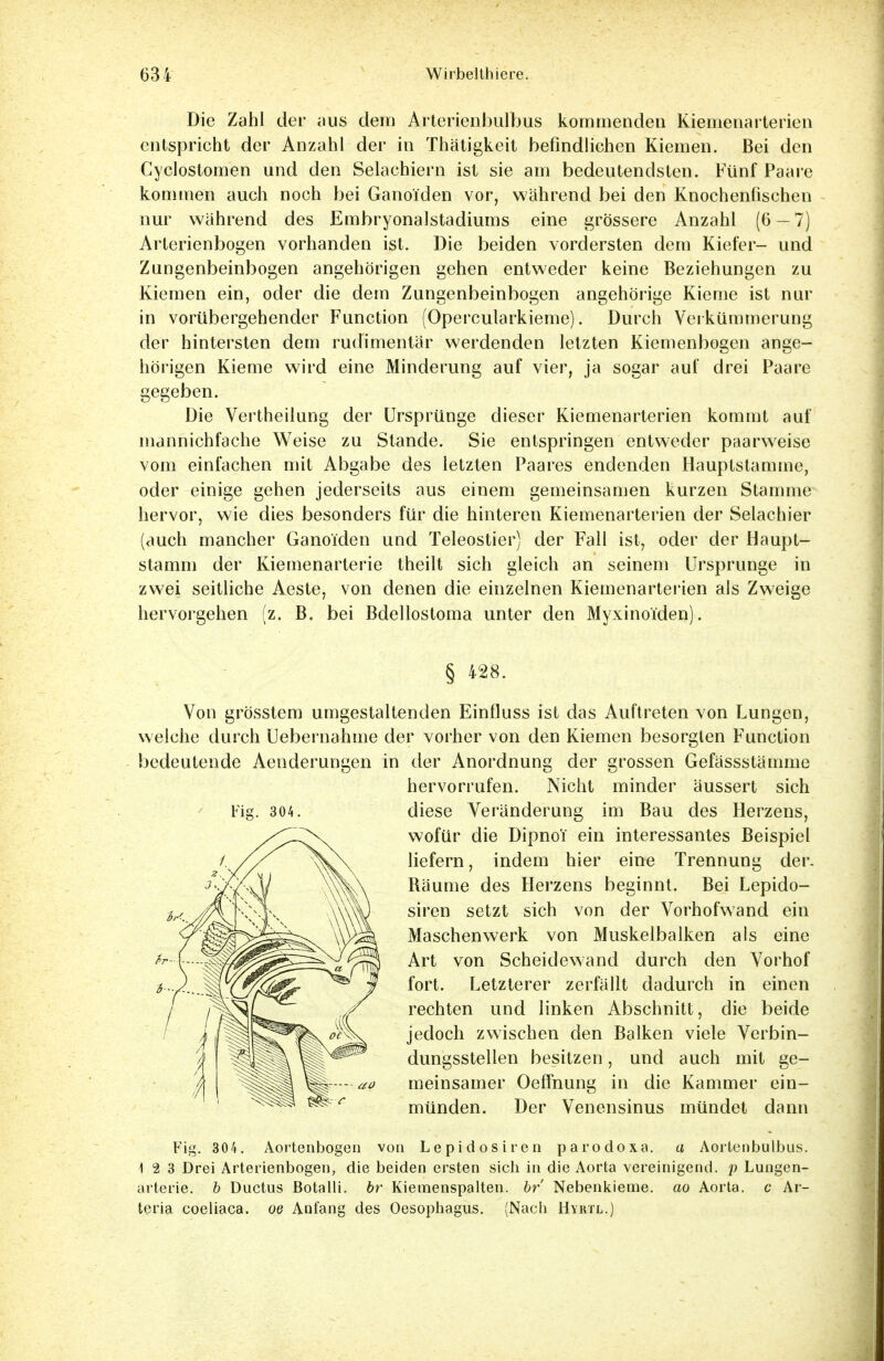 Die Zahl der aus dem Arterienbulbus kommenden Kiemenarterien entspricht der Anzahl der in Thätigkeit befindlichen Kiemen. Bei den Cyclostomen und den Selachiern ist sie am bedeutendsten. Fünf Paare kommen auch noch bei GanoTden vor, während bei den Knochenfischen nur während des Embryonalstadiums eine grössere Anzahl (6 - 7) Arterienbogen vorhanden ist. Die beiden vordersten dem Kiefer- und Zungenbeinbogen angehörigen gehen entweder keine Beziehungen zu Kiemen ein, oder die dem Zungenbeinbogen angehörige Kieme ist nur in vorübergehender Function (Opercularkieme). Durch Verkümmerung der hintersten dem rudimentär werdenden letzten Kiemenbogen ange- hörigen Kieme wird eine Minderung auf vier, ja sogar auf drei Paare gegeben. Die Vertheilung der Ursprünge dieser Kiemenarterien kommt auf mannichfache Weise zu Stande. Sie entspringen entweder paarweise vom einfachen mit Abgabe des letzten Paares endenden Hauptstamme, oder einige gehen jederseits aus einem gemeinsamen kurzen Stamme hervor, wie dies besonders für die hinteren Kiemenarterien der Selachier (auch mancher Ganoi'den und Teleostier) der Fall ist, oder der Haupt- stamm der Kiemenarterie theilt sich gleich an seinem Ursprünge in zwei seitliche Aeste, von denen die einzelnen Kiemenarterien als Zweige hervorgehen (z. B. bei Bdellostoma unter den Myxinoi'den). § 428. Von grösstem umgestaltenden Einfluss ist das Auftreten von Lungen, welche durch Uebernahme der vorher von den Kiemen besorgten Function bedeutende Aenderungen in der Anordnung der grossen Gefässstämme hervorrufen. Nicht minder äussert sich diese Veränderung im Bau des Herzens, wofür die Dipno'i ein interessantes Beispiel liefern, indem hier eine Trennung der. Räume des Herzens beginnt. Bei Lepido- siren setzt sich von der Vorhofwand ein Maschenwerk von Muskelbalken als eine Art von Scheidewand durch den Vorhof fort. Letzterer zerfällt dadurch in einen rechten und linken Abschnitt, die beide jedoch zwischen den Balken viele Verbin- dungsstellen besitzen, und auch mit ge- meinsamer Oeffnung in die Kammer ein- münden. Der Venensinus mündet dann Fig. 304. Aortenbogen von Lepidosiren parodoxa. a Aortenbulbus. 1 2 3 Drei Arterienbogen, die beiden ersten sich in die Aorta vereinigend, p Lungen- arterie, b Ductus ßotalli. br Kiemenspalten, br' Nebenkieme, ao Aorta, c Ar- teria coeliaca. oe Anfang des Oesophagus. (Nach Hyrtl.)