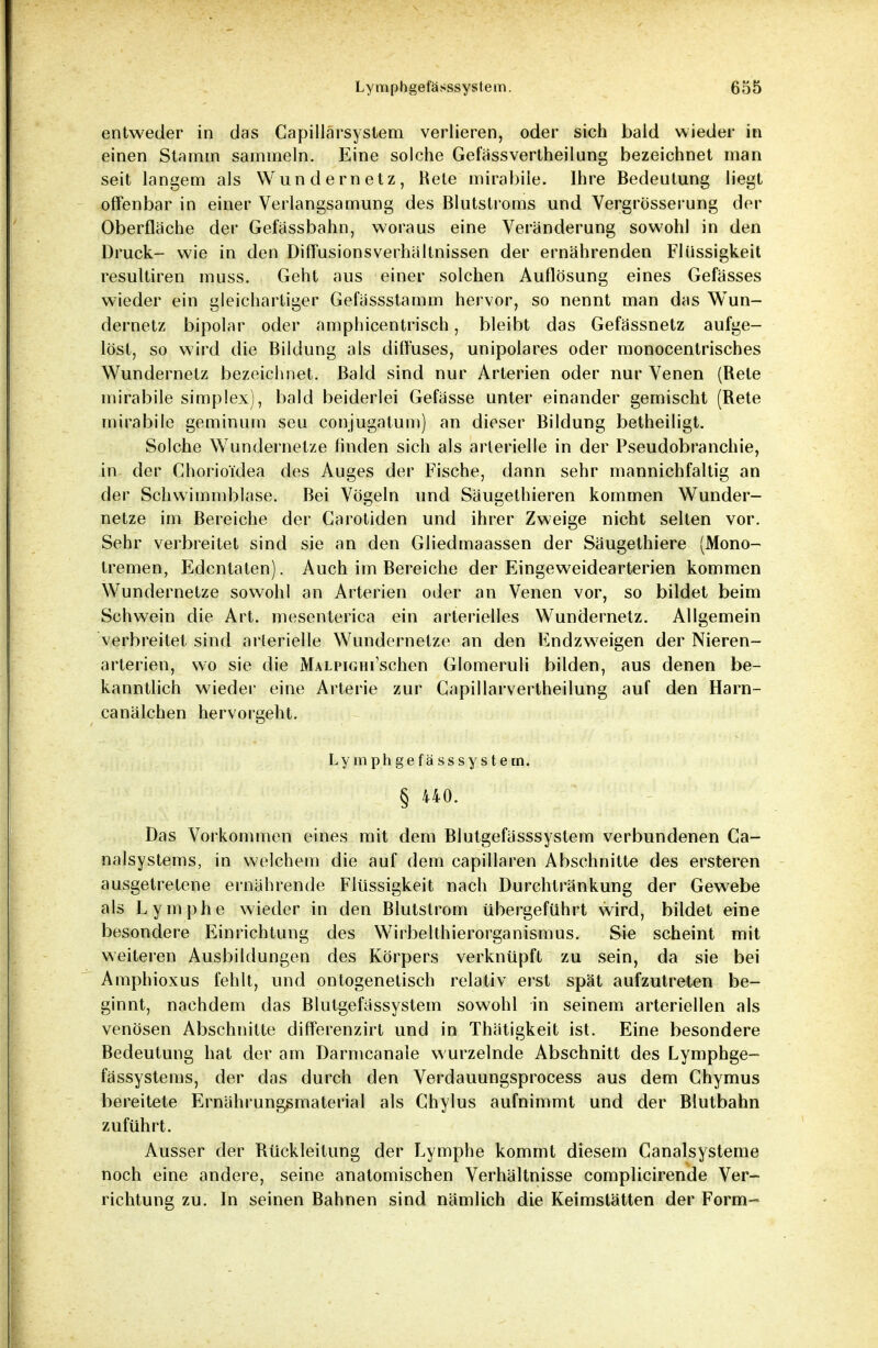 entweder in das Capillärsystem verlieren, oder sich bald wieder in einen Stamm sammeln. Eine solche Gefässvertheilung bezeichnet man seit langem als Wundernetz, Rele mirabüe. Ihre Bedeutung liegt offenbar in einer Verlangsamung des Blutstroms und Vergrösserung der Oberfläche der Gefässbahn, woraus eine Veränderung sowohl in den Druck- wie in den Diffusions Verhältnissen der ernährenden Flüssigkeit resultiren muss. Geht aus einer solchen Auflösung eines Gefässes wieder ein gleichartiger Gefässstamm hervor, so nennt man das Wun- dernetz bipolar oder amphicentrisch, bleibt das Gefässnetz aufge- löst, so wird die Bildung als diffuses, unipolares oder monocentrisches Wundernetz bezeichnet. Bald sind nur Arterien oder nur Venen (Rele mirabile simplex), bald beiderlei Gefässe unter einander gemischt (Rete mirabüe geminum seu conjugatum) an dieser Bildung betheiligt. Solche Wundernetze finden sich als arterielle in der Pseudobranchie, in der Chorioidea des Auges der Fische, dann sehr mannichfaltig an der Schwimmblase. Bei Vögeln und Säugethieren kommen Wunder- netze im Bereiche der Garotiden und ihrer Zweige nicht selten vor. Sehr verbreitet sind sie an den Gliedmaassen der Säugethiere (Mono- tremen, Edentaten). Auch im Bereiche der Eingeweidearterien kommen Wundernetze sowohl an Arterien oder an Venen vor, so bildet beim Schwein die Art. mesenterica ein arterielles Wundernetz. Allgemein verbreitet sind arterielle Wundernetze an den Endzw7eigen der Nieren- arterien, wo sie die MALPiGHi'schen Glomeruli bilden, aus denen be- kanntlich wieder eine Arterie zur Gapillarvertheilung auf den Harn- canälchen hervorgeht. Lymphgefässsystem. § 440. Das Vorkommen eines mit dem Blutgefässsystem verbundenen Ca- nalsystems, in welchem die auf dem capillaren Abschnitte des ersteren ausgetretene ernährende Flüssigkeit nach Durchlränkung der Gewebe als Lymphe wieder in den Blutstrom übergeführt wird, bildet eine besondere Einrichtung des Wirbelthierorganismus. Sie scheint mit weiteren Ausbildungen des Körpers verknüpft zu sein, da sie bei Amphioxus fehlt, und ontogenetisch relativ erst spät aufzutreten be- ginnt, nachdem das Blutgefässystem sowohl in seinem arteriellen als venösen Abschnitte differenzirt und in Thätigkeit ist. Eine besondere Bedeutung hat der am Darmcanale wurzelnde Abschnitt des Lymphge- fässystems, der das durch den Verdauungsprocess aus dem Chymus bereitete Ernährungsmaterial als Chylus aufnimmt und der Blutbahn zuführt. Ausser der Rückleitung der Lymphe kommt diesem Canalsysteme noch eine andere, seine anatomischen Verhältnisse complicirende Ver- richtung zu. In seinen Bahnen sind nämlich die Keimstätten der Form-