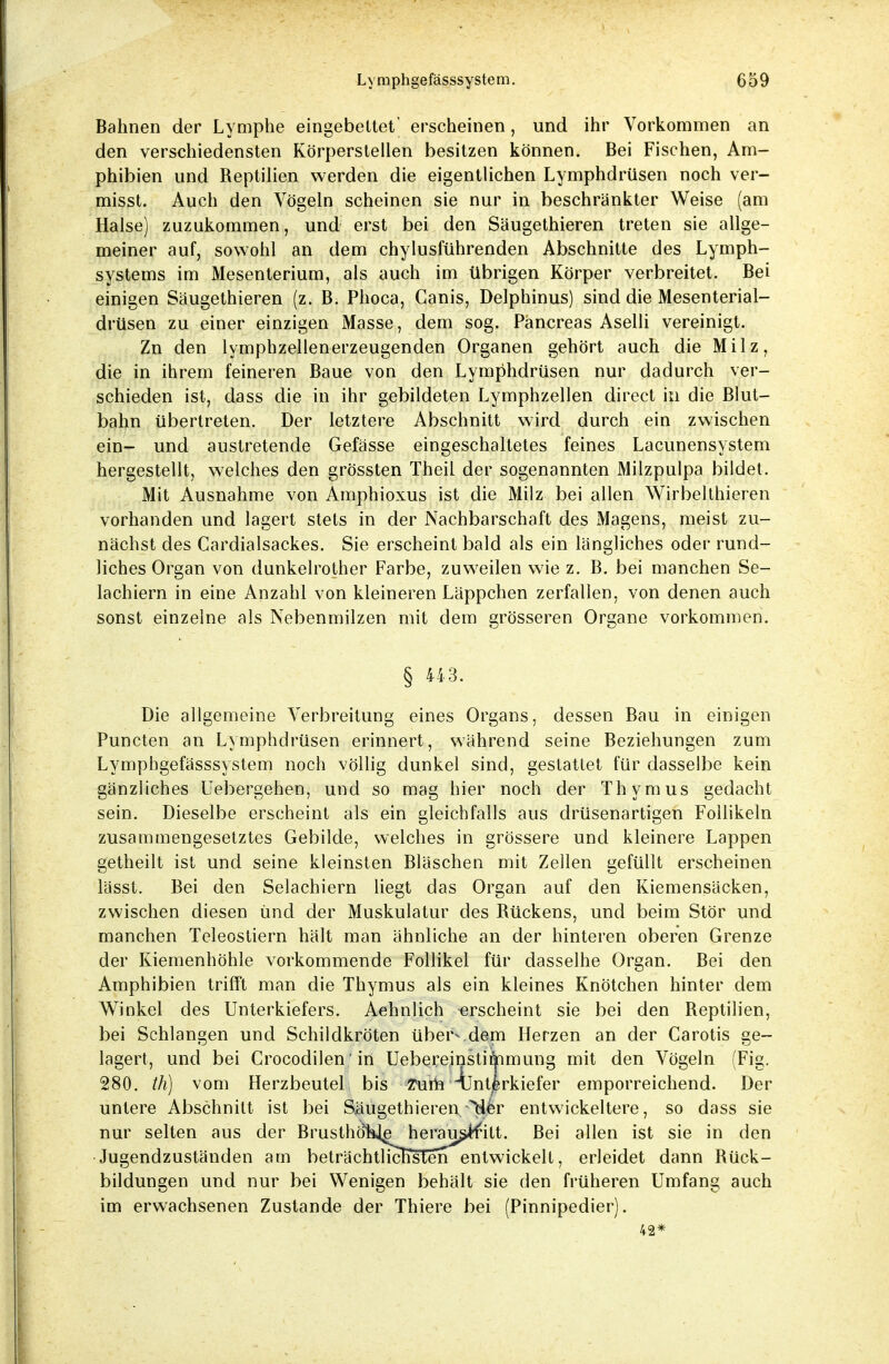 Bahnen der Lymphe eingebettet' erscheinen, und ihr Vorkommen an den verschiedensten Körperstellen besitzen können. Bei Fischen, Am- phibien und Reptilien werden die eigentlichen Lymphdrüsen noch ver- misst. Auch den Vögeln scheinen sie nur in beschränkter Weise (am Halse) zuzukommen, und erst bei den Säugethieren treten sie allge- meiner auf, sowohl an dem chylusführenden Abschnitte des Lymph- systems im Mesenterium, als auch im übrigen Körper verbreitet. Bei einigen Säugethieren (z. B. Phoca, Ganis, Delphinus) sind die Mesenterial- drüsen zu einer einzigen Masse, dem sog. Päncreas Aselli vereinigt. Zn den lymphzellenerzeugenden Organen gehört auch die Milz, die in ihrem feineren Baue von den Lymphdrüsen nur dadurch ver- schieden ist, dass die in ihr gebildeten Lymphzellen direct in die Blut- bahn übertreten. Der letztere Abschnitt wird durch ein zwischen ein- und austretende Gefässe eingeschaltetes feines Lacunensystem hergestellt, welches den grössten Theil der sogenannten Milzpulpa bildet. Mit Ausnahme von Amphioxus ist die Milz bei allen Wirbelthieren vorhanden und lagert stets in der Nachbarschaft des Magens, meist zu- nächst des Cardialsackes. Sie erscheint bald als ein längliches oder rund- liches Organ von dunkelrother Farbe, zuweilen wie z. B. bei manchen Se- lachiern in eine Anzahl von kleineren Läppchen zerfallen, von denen auch sonst einzelne als Nebenmilzen mit dem grösseren Organe vorkommen. § 443. Die allgemeine Verbreitung eines Organs, dessen Bau in einigen Puncten an Lymphdrüsen erinnert, während seine Beziehungen zum Lympbgefässsystem noch völlig dunkel sind, gestattet für dasselbe kein gänzliches Uebergehen, und so mag hier noch der Thymus gedacht sein. Dieselbe erscheint als ein gleichfalls aus drüsenartigen Follikeln zusammengesetztes Gebilde, welches in grössere und kleinere Lappen getheilt ist und seine kleinsten Bläschen mit Zellen gefüllt erscheinen lässt. Bei den Selachiern liegt das Organ auf den Kiemensäcken, zwischen diesen und der Muskulatur des Rückens, und beim Stör und manchen Teleostiern hält man ähnliche an der hinteren oberen Grenze der Kiemenhöhle vorkommende Follikel für dasselhe Organ. Bei den Amphibien trifft man die Thymus als ein kleines Knötchen hinter dem Winkel des Unterkiefers. Aehnlich -erscheint sie bei den Reptilien, bei Schlangen und Schildkröten übervdem Herzen an der Carotis ge- lagert, und bei Crocodilen' in UebereinstiiVimung mit den Vögeln (Fig. 280. th) vom Herzbeutel bis ffurh Unterkiefer emporreichend. Der untere Abschnitt ist bei Säugethieren ^der entwickeltere, so dass sie nur selten aus der BrusthöTs^herau^tfitt. Bei allen ist sie in den Jugendzuständen am beträchtliclisteri entwickelt, erleidet dann Rück- bildungen und nur bei Wenigen behält sie den früheren Umfang auch im erwachsenen Zustande der Thiere bei (Pinnipedier). 42*