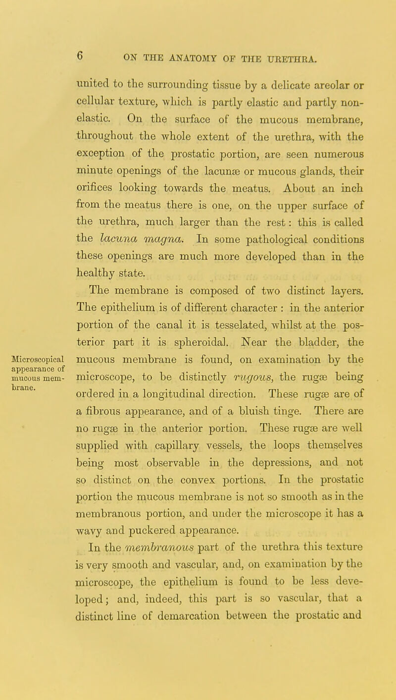 united to the surrounding tissue by a delicate areolar or cellular texture, which is partly elastic and partly non- elastic. On the surface of the mucous membrane, throughout the whole extent of the urethra, with the exception of the prostatic portion, are seen numerous minute openings of the lacunas or mucous glands, their orifices looking towards the meatus. About an inch from the meatus there is one, on the upper surface of the urethra, much larger than the rest: this is called the lacuna magna. In some pathological conditions these openings are much more developed than in the healthy state. The membrane is composed of two distinct layers. The epithelium is of different character : in the anterior portion of the canal it is tesselated, whilst at the pos- terior part it is spheroidal. Near the bladder, the Microscopical mucous membrane is found, on examination by the appearance of . mucous mem- microscope, to be distinctly rugous, the rugae being 1)1* ordered in a longitudinal direction. These rugae are of a fibrous appearance, and of a bluish tinge. There are no rugae in the anterior portion. These rugae are well supplied with capillary vessels, the loops themselves being most observable in the depressions, and not so distinct on the convex portions. In the prostatic portion the mucous membrane is not so smooth as in the membranous portion, and under the microscope it has a wavy and puckered appearance. In the membranous part of the urethra this texture is very smooth and vascular, and, on examination by the microscope, the epithelium is found to be less deve- loped; and, indeed, this part is so vascular, that a distinct line of demarcation between the prostatic and