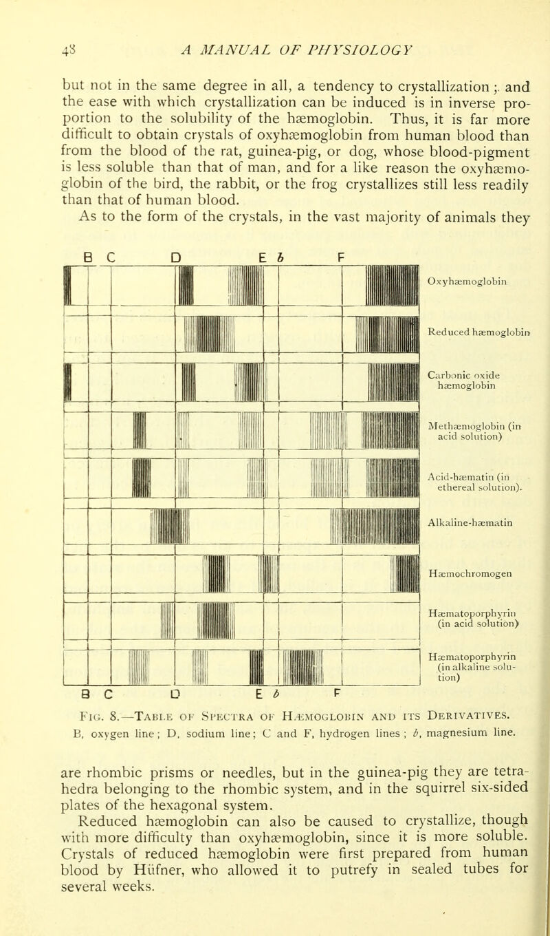 but not in the same degree in all, a tendency to crystallization;. and the ease with which crystallization can be induced is in inverse pro- portion to the solubility of the haemoglobin. Thus, it is far more difficult to obtain crystals of oxyhcemoglobin from human blood than from the blood of the rat, guinea-pig, or dog, whose blood-pigment is less soluble than that of man, and for a like reason the oxyhsemo- globin of the bird, the rabbit, or the frog crystallizes still less readily than that of human blood. As to the form of the crystals, in the vast majority of animals they B C I If ill ■ ■ 1 31 B C E b I ■mi I ■ Oxyha;moglobin Reduced hsemoglobini Carbonic oxide haemoglobin Metha;nioglobin (in acid solution) Acid-haematin (in ethereal solution). Alkaiine-haematin Haemochromogen Haematoporphyrin (in acid solution) Hsematoporphyrin (in alkaline solu- tion) Fig. 8.—Table of Spectra ok H.t;MOGLOBiN and its Derivatives. B, oxygen line; D. sodium line; C and F, hydrogen lines; b, magnesium line. are rhombic prisms or needles, but in the guinea-pig they are tetra- hedra belonging to the rhombic system, and in the squirrel six-sided plates of the hexagonal system. Reduced haemoglobin can also be caused to crystallize, though with more difficulty than oxyhsemoglobin, since it is more soluble. Crystals of reduced hiemoglobin were first prepared from human blood by Hiifner, who allowed it to putrefy in sealed tubes for several weeks.