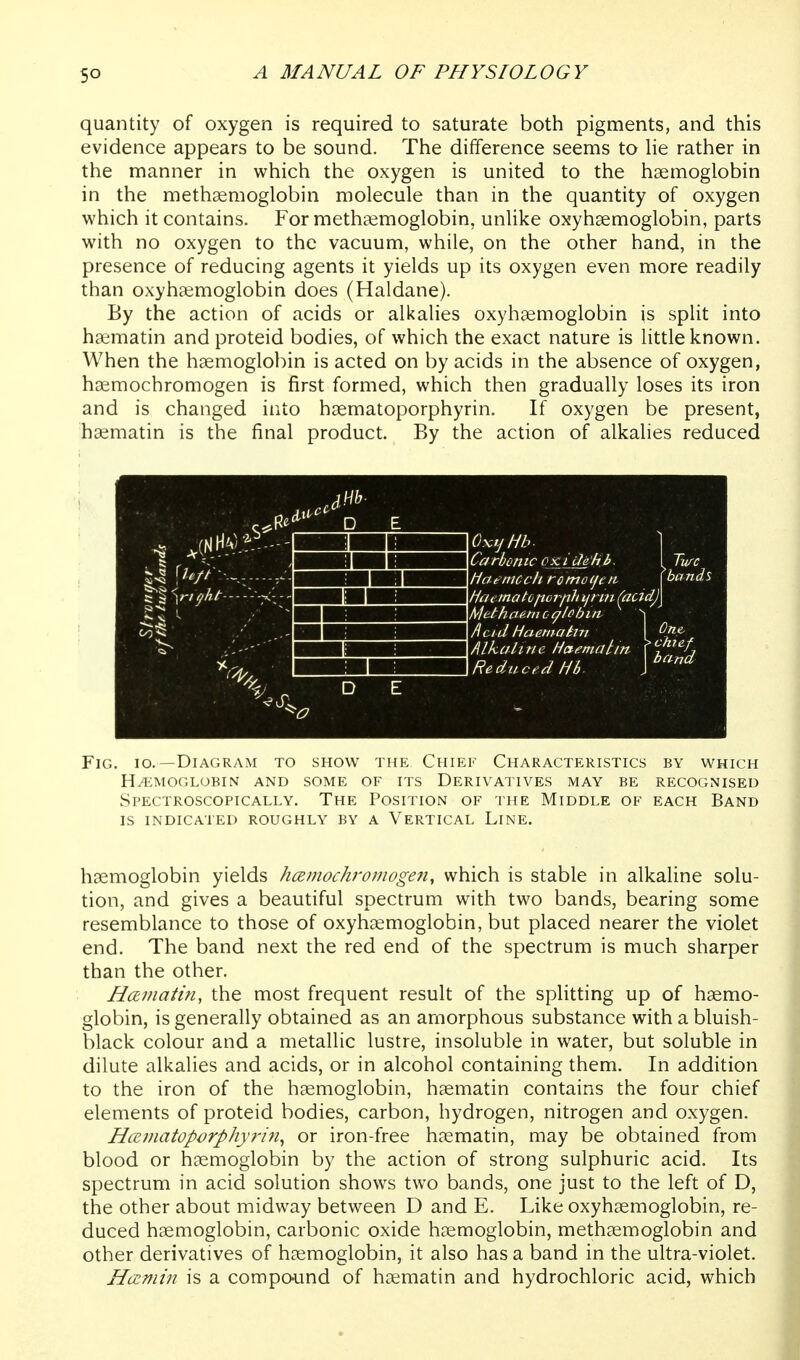 quantity of oxygen is required to saturate both pigments, and this evidence appears to be sound. The difference seems to He rather in the manner in which the oxygen is united to the haemoglobin in the methsemoglobin molecule than in the quantity of oxygen which it contains. For methaemoglobin, unlike oxyhaemoglobin, parts with no oxygen to the vacuum, while, on the other hand, in the presence of reducing agents it yields up its oxygen even more readily than oxyhaemoglobin does (Haldane). By the action of acids or alkalies oxyhaemoglobin is split into haematin and proteid bodies, of which the exact nature is little known. When the haemoglobin is acted on by acids in the absence of oxygen, h^mochromogen is first formed, which then gradually loses its iron and is changed into haematoporphyrin. If oxygen be present, haematin is the final product. By the action of alkalies reduced Turc bonds OxijHb. Carbonic oxidehb. Haemcch rotnoifeit fiaematcpDTfih ijnn (aadjj Mcthcie.m 0 (^lobin. \ fycid Haetnatin I ^P-'^ JI kali tie Hctematin st^'^ \ Reduced Hb. r'^ Fig. io.—Diagram to show the Chief Characteristics by which Hv*;moglobin and some of its Derivatives may be recognised Spectroscopically. The Position of the Middle of each Band is indicated roughly by a Vertical Line. haemoglobin yields hcemochroinogen, which is stable in alkaline solu- tion, and gives a beautiful spectrum with two bands, bearing some resemblance to those of oxyhasmoglobin, but placed nearer the violet end. The band next the red end of the spectrum is much sharper than the other. Haniatin, the most frequent result of the splitting up of haemo- globin, is generally obtained as an amorphous substance with a bluish- black colour and a metallic lustre, insoluble in water, but soluble in dilute alkalies and acids, or in alcohol containing them. In addition to the iron of the haemoglobin, haematin contains the four chief elements of proteid bodies, carbon, hydrogen, nitrogen and oxygen. Hceinatoporphyrifi^ or iron-free haematin, may be obtained from blood or haemoglobin by the action of strong sulphuric acid. Its spectrum in acid solution shows two bands, one just to the left of D, the other about midway between D and E. Like oxyhaemoglobin, re- duced haemoglobin, carbonic oxide haemoglobin, methaemoglobin and other derivatives of haemoglobin, it also has a band in the ultra-violet. Hccmin is a compound of haematin and hydrochloric acid, which