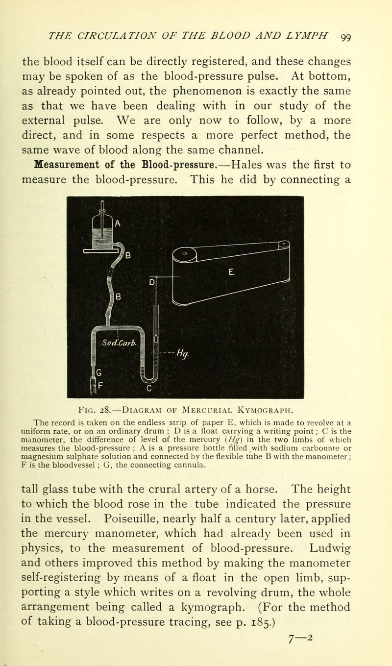 the blood itself can be directly registered, and these changes may be spoken of as the blood-pressure pulse. At bottom, as already pointed out, the phenomenon is exactly the same as that we have been dealing with in our study of the external pulse. We are only now to follow, by a more direct, and in some respects a more perfect method, the same wave of blood along the same channel. Measurement of the Blood-pressure.—Hales was the first to measure the blood-pressure. This he did by connecting a Fig. 28.—Diagram of Mercurial Kymograph. The record is taken on the endless strip of paper E, which is made to revolve at a uniform rate, or on an ordinary drum ; D is a float carrying a writing point; C is the manometer, the ditTerence of level of the mercury [Hg) in the two limbs of which measures the blood-pressure ; A is a pressure bottle filled with sodium carbonate or magnesium sulphate solution and connected by the flexible tube B with the manometer'; F is the bloodvessel ; G, the connecting cannula. tall glass tube with the crural artery of a horse. The height to which the blood rose in the tube indicated the pressure in the vessel. Poiseuille, nearly half a century later, applied the mercury manometer, which had already been used in physics, to the measurement of blood-pressure. Ludwig and others improved this method by making the manometer self-registering by means of a float in the open limb, sup- porting a style which writes on a revolving drum, the whole arrangement being called a kymograph. (For the method of taking a blood-pressure tracing, see p. 185.) 7—2