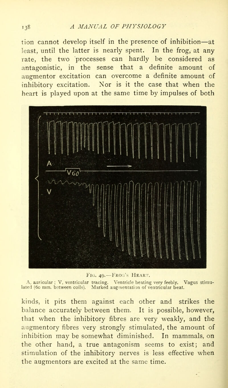 tion cannot develop itself in the presence of inhibition—at least, until the latter is nearly spent. In the frog, at any rate, the two processes can hardly be considered as antagonistic, in the sense that a definite amount of augmentor excitation can overcome a definite amount of inhibitory excitation. Nor is it the case that when the heart is played upon at the same time by impulses of both Fig. 49.—FRO:r's Hear i-. A, auricalar ; V, ventricular tracing. Ventricle beating very feebly. Vagus stimu- lated (60 mm. between coils). Marked auginentation of ventricular beat. kinds, it pits them against each other and strikes the balance accurately between them. It is possible, however, that when the inhibitory fibres are very weakly, and the angmentory fibres very strongly stimulated, the amount of inhibition may be somewhat diminished. In mammals, on the other hand, a true antagonism seems to exist; and stimulation of the inhibitory nerves is less effective when the augmentors are excited at the same time.