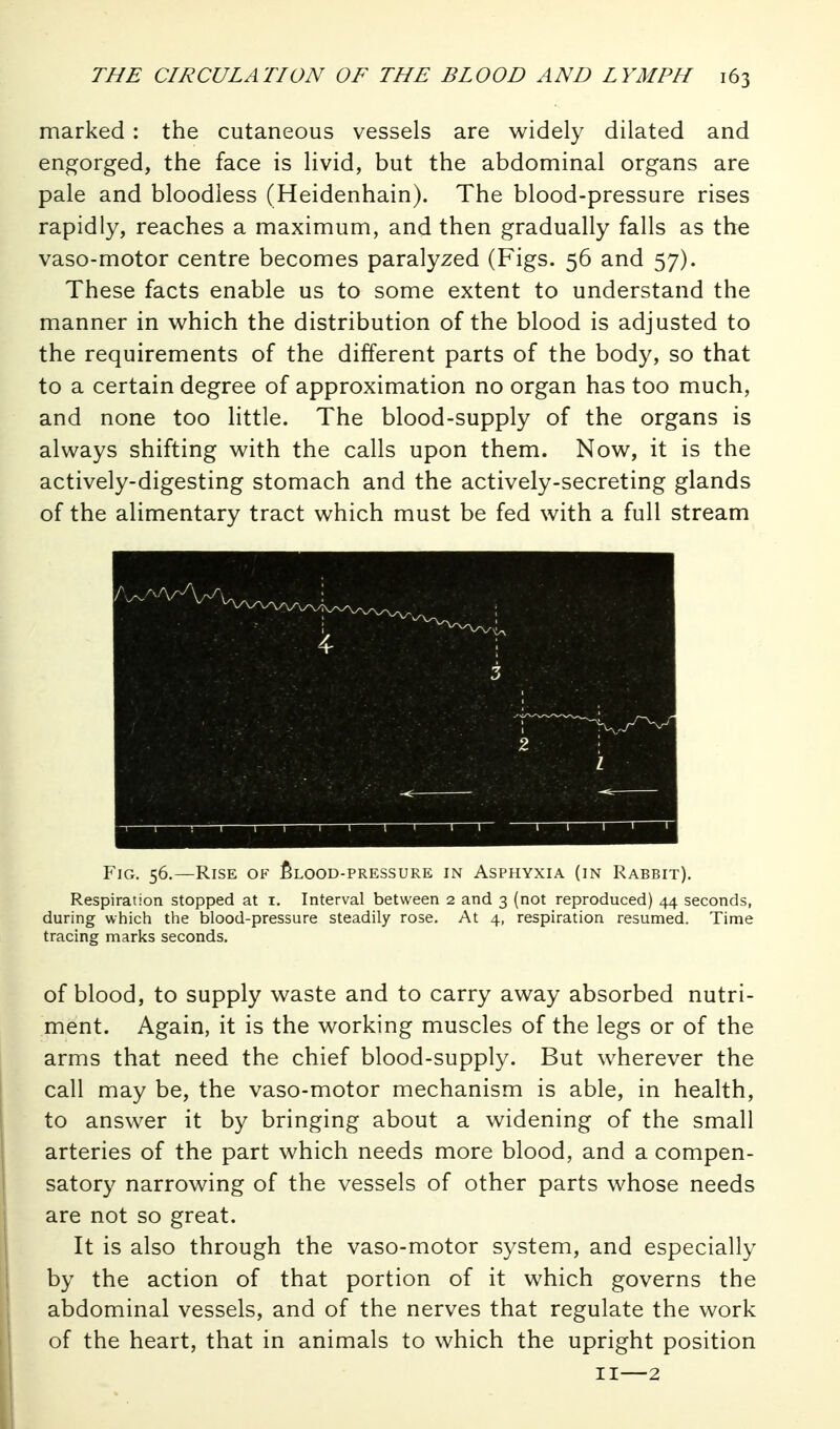 marked : the cutaneous vessels are widely dilated and engorged, the face is livid, but the abdominal organs are pale and bloodless (Heidenhain). The blood-pressure rises rapidly, reaches a maximum, and then gradually falls as the vaso-motor centre becomes paralyzed (Figs. 56 and 57). These facts enable us to some extent to understand the manner in which the distribution of the blood is adjusted to the requirements of the different parts of the body, so that to a certain degree of approximation no organ has too much, and none too little. The blood-supply of the organs is always shifting with the calls upon them. Now, it is the actively-digesting stomach and the actively-secreting glands of the alimentary tract which must be fed with a full stream Fig. 56.—Rise of ^lood-pressure in Asphyxia (in Rabbit). Respiration stopped at i. Interval between 2 and 3 (not reproduced) 44 seconds, during wtiich tiie blood-pressure steadily rose. At 4, respiration resumed. Time tracing marks seconds. of blood, to supply waste and to carry away absorbed nutri- ment. Again, it is the working muscles of the legs or of the arms that need the chief blood-supply. But wherever the call may be, the vaso-motor mechanism is able, in health, to answer it by bringing about a widening of the small arteries of the part which needs more blood, and a compen- satory narrowing of the vessels of other parts whose needs are not so great. It is also through the vaso-motor system, and especially by the action of that portion of it which governs the abdominal vessels, and of the nerves that regulate the work of the heart, that in animals to which the upright position II—2