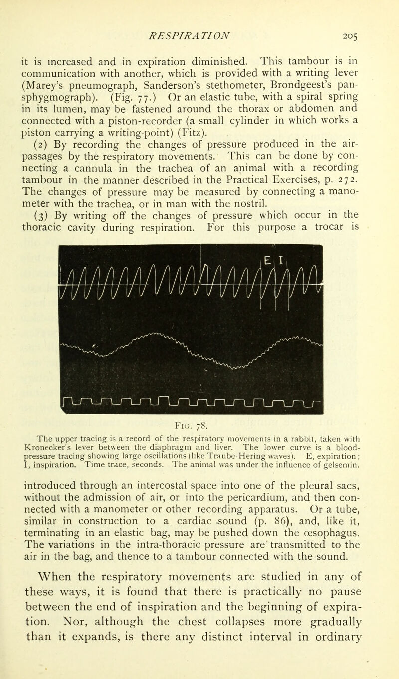 it is increased and in expiration diminished. This tambour is in communication with another, which is provided with a writing lever (Marey's pneumograph, Sanderson's stethometer, Brondgeest's pan- sphygmograph). (Fig. 77.) Or an elastic tube, with a spiral spring in its lumen, may be fastened around the thorax or abdomen and connected with a piston-recorder (a small cylinder in which works a piston carrying a writing-point) (Fitz). (2) By recording the changes of pressure produced in the air- passages by the respiratory movements. This can be done by con- necting a cannula in the trachea of an animal with a recording tambour in the manner described in the Practical Exercises, p. 272. The changes of pressure may be measured by connecting a mano- meter with the trachea, or in man with the nostril. (3) By writing off the changes of pressure which occur in the thoracic cavity during respiration. For this purpose a trocar is Yic. 78. The upper tracing is a record of the respiratory movements in a rabbit, taken with Kronecker's lever between the diaphragm and liver. The lovver curve is a blood- pressure tracing showing large oscillations (like Traube-Hering waves). E, expiration ; I, inspiration. Time trace, seconds. The animal was under the influence of gelsemin. introduced through an intercostal space into one of the pleural sacs, without the admission of air, or into the pericardium, and then con- nected with a manometer or other recording apparatus. Or a tube, similar in construction to a cardiac .sound (p. 86), and, like it, terminating in an elastic bag, may be pushed down the oesophagus. The variations in the intra-thoracic pressure are transmitted to the air in the bag, and thence to a tambour connected with the sound. When the respiratory movements are studied in any of these ways, it is found that there is practically no pause between the end of inspiration and the beginning of expira- tion. Nor, although the chest collapses more gradually than it expands, is there any distinct interval in ordinary