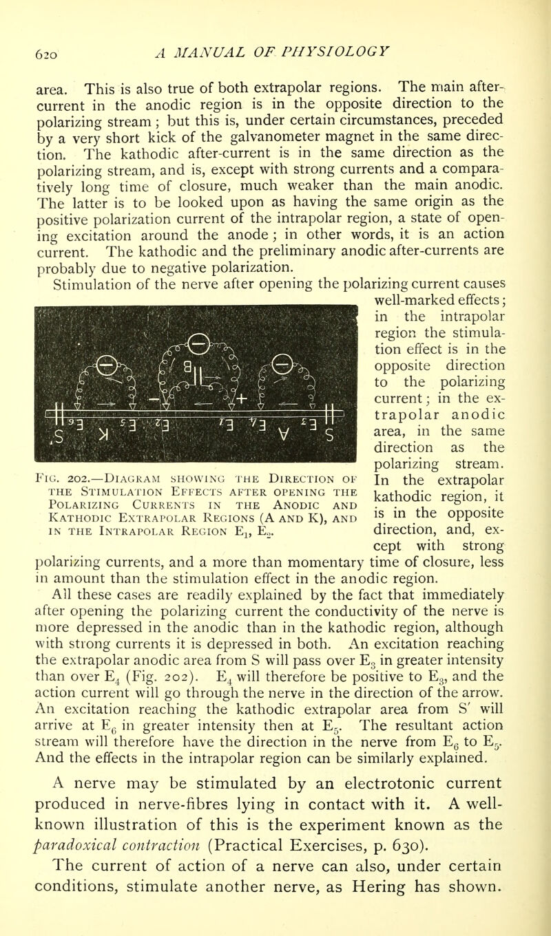 area. This is also true of both extrapolar regions. The main after- current in the anodic region is in the opposite direction to the polarizing stream; but this is, under certain circumstances, preceded by a very short kick of the galvanometer magnet in the same direc- tion. The kathodic after-current is in the same direction as the polarizing stream, and is, except with strong currents and a compara- tively long time of closure, much weaker than the main anodic. The latter is to be looked upon as having the same origin as the positive polarization current of the intrapolar region, a state of open- ing excitation around the anode ; in other words, it is an action current. The kathodic and the preliminary anodic after-currents are probably due to negative polarization. Stimulation of the nerve after opening the polarizing current causes well-marked effects; in the intrapolar region the stimula- tion effect is in the opposite direction to the polarizing current; in the ex- trapolar anodic area, in the same direction as the polarizing stream. In the extrapolar kathodic region, it is in the opposite direction, and, ex- cept with strong polarizing currents, and a more than momentary time of closure, less in amount than the stimulation effect in the anodic region. All these cases are readily explained by the fact that immediately after opening the polarizing current the conductivity of the nerve is more depressed in the anodic than in the kathodic region, although with strong currents it is depressed in both. An excitation reaching the extrapolar anodic area from S will pass over Eg in greater intensity than over (Fig. 202). E^ will therefore be positive to Eg, and the action current will go through the nerve in the direction of the arrow. An excitation reaching the kathodic extrapolar area from S' will arrive at E^^ in greater intensity then at E5. The resultant action stream will therefore have the direction in the nerve from Eg to E5. And the effects in the intrapolar region can be similarly explained. A nerve may be stimulated by an electrotonic current produced in nerve-fibres lying in contact with it. A w^ell- known illustration of this is the experiment known as the paradoxical contraction (Practical Exercises, p. 630). The current of action of a nerve can also, under certain conditions, stimulate another nerve, as Hering has shown. P'iG. 202.—Diagram showing the Direction of THE Stimulation Effects after opening the Polarizing Currents in the Anodic and Kathodic Extrapolar Regions (A and K), and IN THE Intrapolar Region E^, Eo.