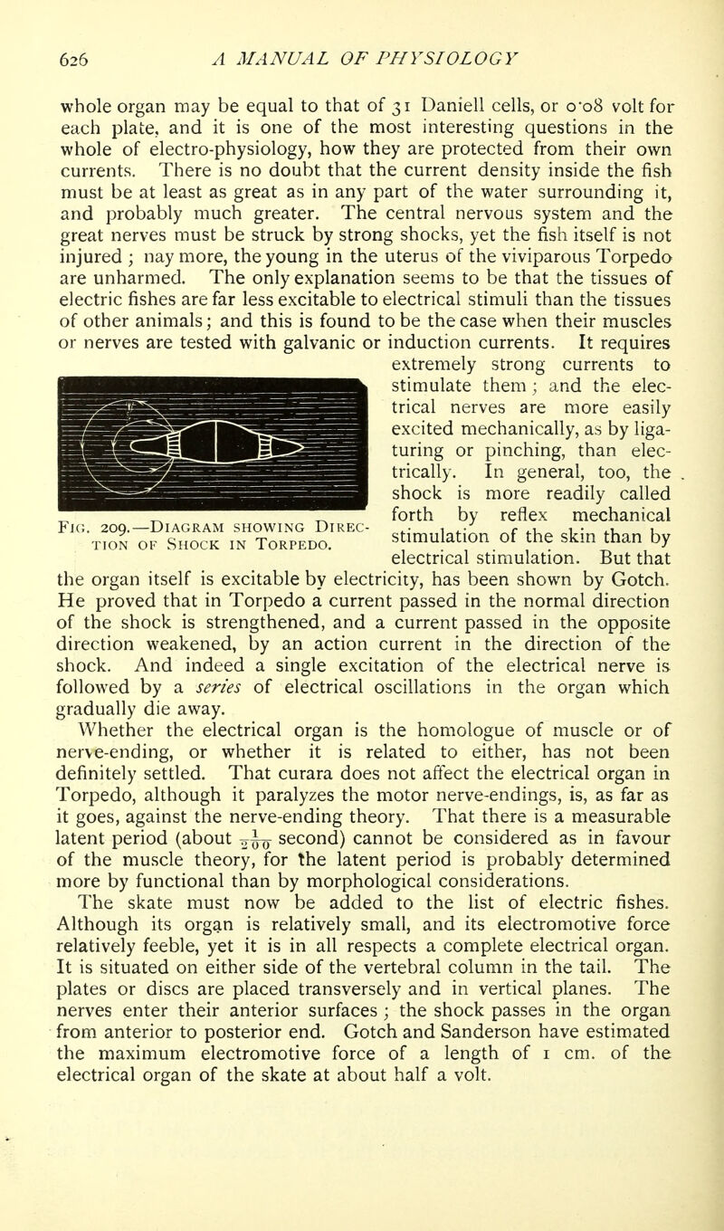 whole organ may be equal to that of 31 Daniell cells, or o'oS volt for each plate., and it is one of the most interesting questions in the whole of electro-physiology, how they are protected from their own currents. There is no doubt that the current density inside the fish must be at least as great as in any part of the water surrounding it, and probably much greater. The central nervous system and the great nerves must be struck by strong shocks, yet the fish itself is not injured ; nay more, the young in the uterus of the viviparous Torpedo are unharmed. The only explanation seems to be that the tissues of electric fishes are far less excitable to electrical stimuli than the tissues of other animals; and this is found to be the case when their muscles or nerves are tested with galvanic or induction currents. It requires extremely strong currents to stimulate them; and the elec- trical nerves are more easily excited mechanically, as by liga- turing or pinching, than elec- trically. In general, too, the shock is more readily called ^ ^ ^ forth by reflex mechanical Fic. 200.—Diagram showing Direc- ^. , r ^.u 1 • ^.u i TioN OF Shock in Torpedo. stimulation of the skm than by electrical stimulation. But that the organ itself is excitable by electricity, has been shown by Gotch. He proved that in Torpedo a current passed in the normal direction of the shock is strengthened, and a current passed in the opposite direction weakened, by an action current in the direction of the shock. And indeed a single excitation of the electrical nerve is followed by a series of electrical oscillations in the organ which gradually die away. Whether the electrical organ is the homologue of muscle or of nerve-ending, or whether it is related to either, has not been definitely settled. That curara does not affect the electrical organ in Torpedo, although it paralyzes the motor nerve-endings, is, as far as it goes, against the nerve-ending theory. That there is a measurable latent period (about —-^ second) cannot be considered as in favour of the muscle theory, for the latent period is probably determined more by functional than by morphological considerations. The skate must now be added to the list of electric fishes. Although its organ is relatively small, and its electromotive force relatively feeble, yet it is in all respects a complete electrical organ. It is situated on either side of the vertebral column in the tail. The plates or discs are placed transversely and in vertical planes. The nerves enter their anterior surfaces ; the shock passes in the organ from anterior to posterior end. Gotch and Sanderson have estimated the maximum electromotive force of a length of i cm. of the electrical organ of the skate at about half a volt.