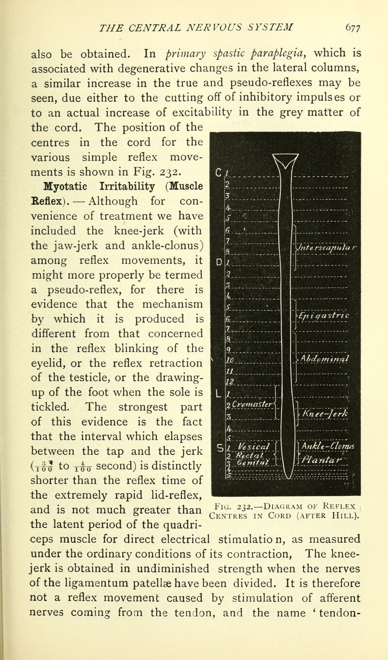 also be obtained. In primary spastic paraplegia^ which is associated with degenerative changes in the lateral columns, a similar increase in the true and pseudo-reflexes may be seen, due either to the cutting off of inhibitory impulses or to an actual increase of excitability in the grey matter of the cord. The position of the centres in the cord for the various simple reflex move- ments is shown in Fig. 232. Myotatic Irritability (Muscle Reflex). — Although for con- venience of treatment we have included the knee-jerk (with the jaw-jerk and ankle-clonus) among reflex movements, it might more properly be termed a pseudo-reflex, for there is evidence that the mechanism by which it is produced is different from that concerned in the reflex blinking of the eyelid, or the reflex retraction of the testicle, or the drawing- up of the foot when the sole is tickled. The strongest part of this evidence is the fact that the interval which elapses between the tap and the jerk (rf 5 to second) is distinctly shorter than the reflex time of the extremely rapid lid-reflex, and is not much greater than the latent period of the quadri- ceps muscle for direct electrical stimulation, as measured under the ordinary conditions of its contraction. The knee- jerk is obtained in undiminished strength when the nerves of the ligamentum patellae have been divided. It is therefore not a reflex movement caused by stimulation of afferent nerves coming from the tendon, and the name ' tendon- ;/ u:........... L 1. 2 Cremaster C, I i/eSLCal r^'Gernictl ynterscapuh Epigastric Ahdotfi'tftal knee-Jerh Ankle-CIcnus Plantar^- Fig. 232.—Diagram of Reflex , Centres in Cord (after Hill).