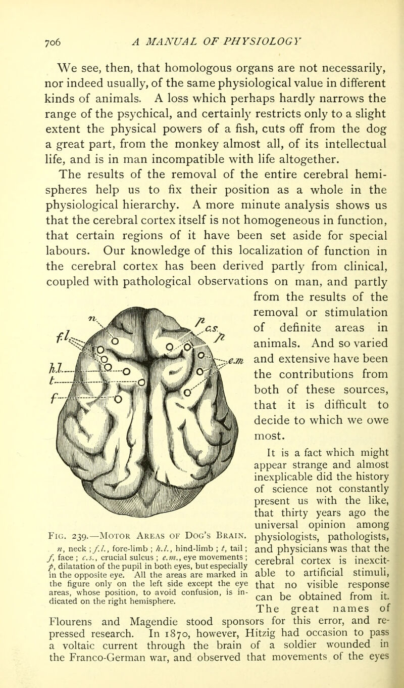 We see, then, that homologous organs are not necessarily, nor indeed usually, of the same physiological value in different kinds of animals. A loss which perhaps hardly narrows the range of the psychical, and certainl}' restricts only to a slight extent the physical powers of a fish, cuts off from the dog a great part, from the monkey almost all, of its intellectual life, and is in man incompatible with life altogether. The results of the removal of the entire cerebral hemi- spheres help us to fix their position as a whole in the physiological hierarchy. A more minute analysis shows us that the cerebral cortex itself is not homogeneous in function, that certain regions of it have been set aside for special labours. Our knowledge of this localization of function in the cerebral cortex has been derived partly from clinical, coupled with pathological observations on man, and partly from the results of the removal or stimulation of definite areas in animals. And so varied and extensive have been the contributions from both of these sources, that it is difficult to decide to which we owe most. It is a fact which might appear strange and almost inexplicable did the history of science not constantly present us with the like, that thirty years ago the universal opinion among Fig. 239.—Motor Areas of Dog's Brain, physiologists, pathologists, n, neck ;/./., fore-limb ; h.L, hind-limb ; /, tail; and physicians waS that the /.fece; ^.5.. crucial sulcuseye cerebral cortex is inexcit- dilatation of the pupil in both eyes, but especially -c • i • r in the opposite eye. All the areas are marked in able tO artincial Stimuli, the figure only on the left side except the eye ^hat nO visible response areas, whose position, to avoid confusion, is in- 1 ^Ufo^'n^r^/^ A-^rTr. if dicated on the right hemisphere. can be obtamed from It The great names of Flourens and Magendie stood sponsors for this error, and re- pressed research. In 1870, however, Hitzig had occasion to pass a voltaic current through the brain of a soldier wounded in the Franco-German war, and observed that movements of the eyes