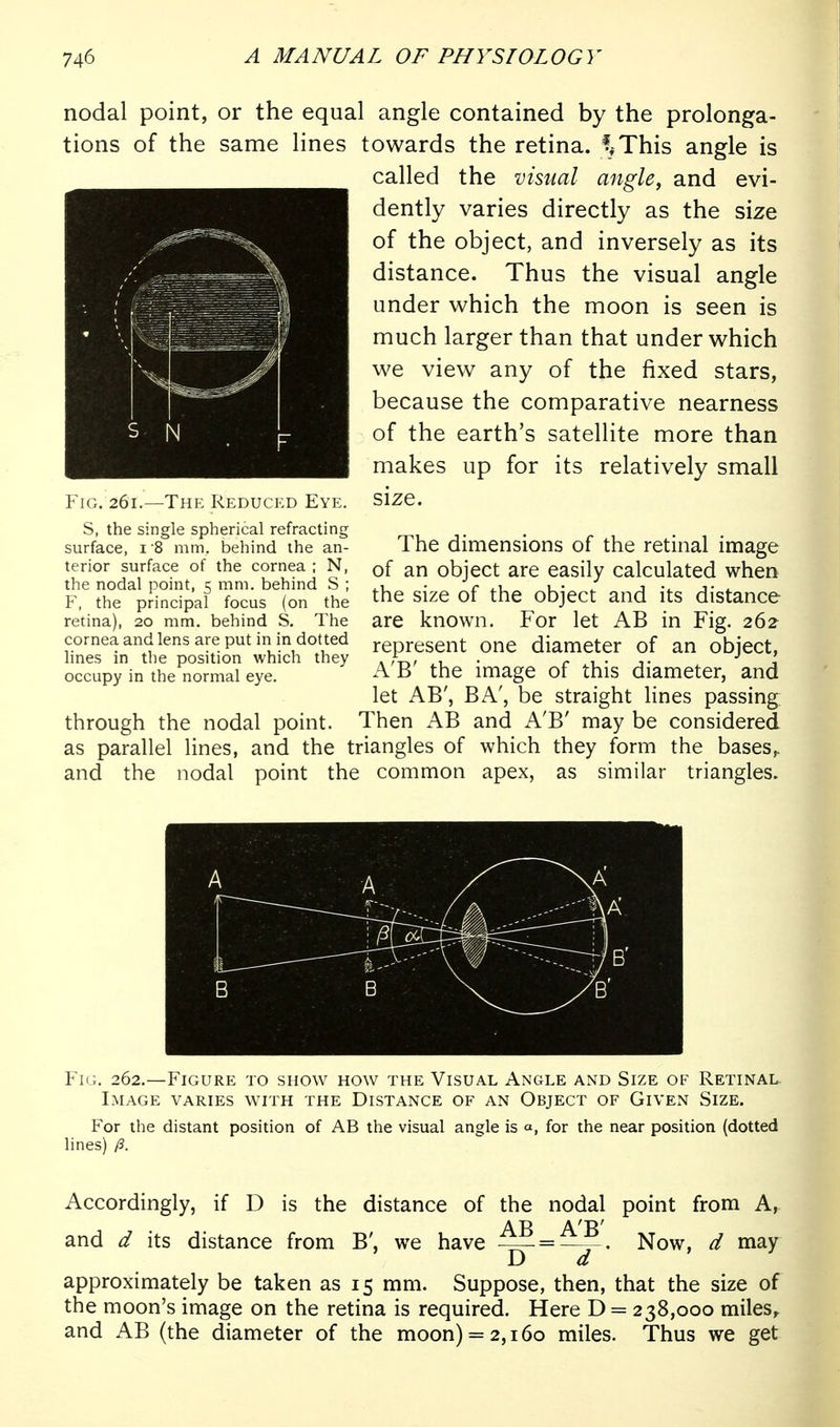 nodal point, or the equal angle contained by the prolonga- tions of the same lines towards the retina. f^This angle is called the visual angle, and evi- dently varies directly as the size of the object, and inversely as its distance. Thus the visual angle under which the moon is seen is much larger than that under which we view any of the fixed stars, because the comparative nearness of the earth's satellite more than makes up for its relatively small Fig. 261.—The Reduced Eye. size. S, the single spherical refracting 1 j • surface, i 8 mm. behind the an- The dimensions of the retinal image terior surface of the cornea; N, of an object are easily Calculated when the nodal pomt, c mm. behmd S ; . 1 • r ^.u u- ^ j j- i. F, the principal focus (on the the Size of the object and its distance retina), 20 mm. behind s. The are known. For let AB in Fig. 262 cornea and lens are put in in dotted represent One diameter of an object, Imes in the position which they . A-n,/ .1 • r ^ ■ t I occupy in the normal eye. A B the image of this diameter, and let AB', BA', be straight lines passing: through the nodal point. Then AB and A'B' may be considered as parallel lines, and the triangles of which they form the bases,, and the nodal point the common apex, as similar triangles. Fig. 262.—Figure to show how the Visual Angle and Size of Retinal. Lmage varies with the Distance of an Object of Given Size, For the distant position of AB the visual angle is a, for the near position (dotted lines) /3. Accordingly, if D is the distance of the nodal point from A,. AB A'B' and d its distance from B', we have -^ = —j-' Now, d may D d approximately be taken as 15 mm. Suppose, then, that the size of the moon's image on the retina is required. Here D = 238,000 miles^ and AB (the diameter of the moon) = 2,160 miles. Thus we get