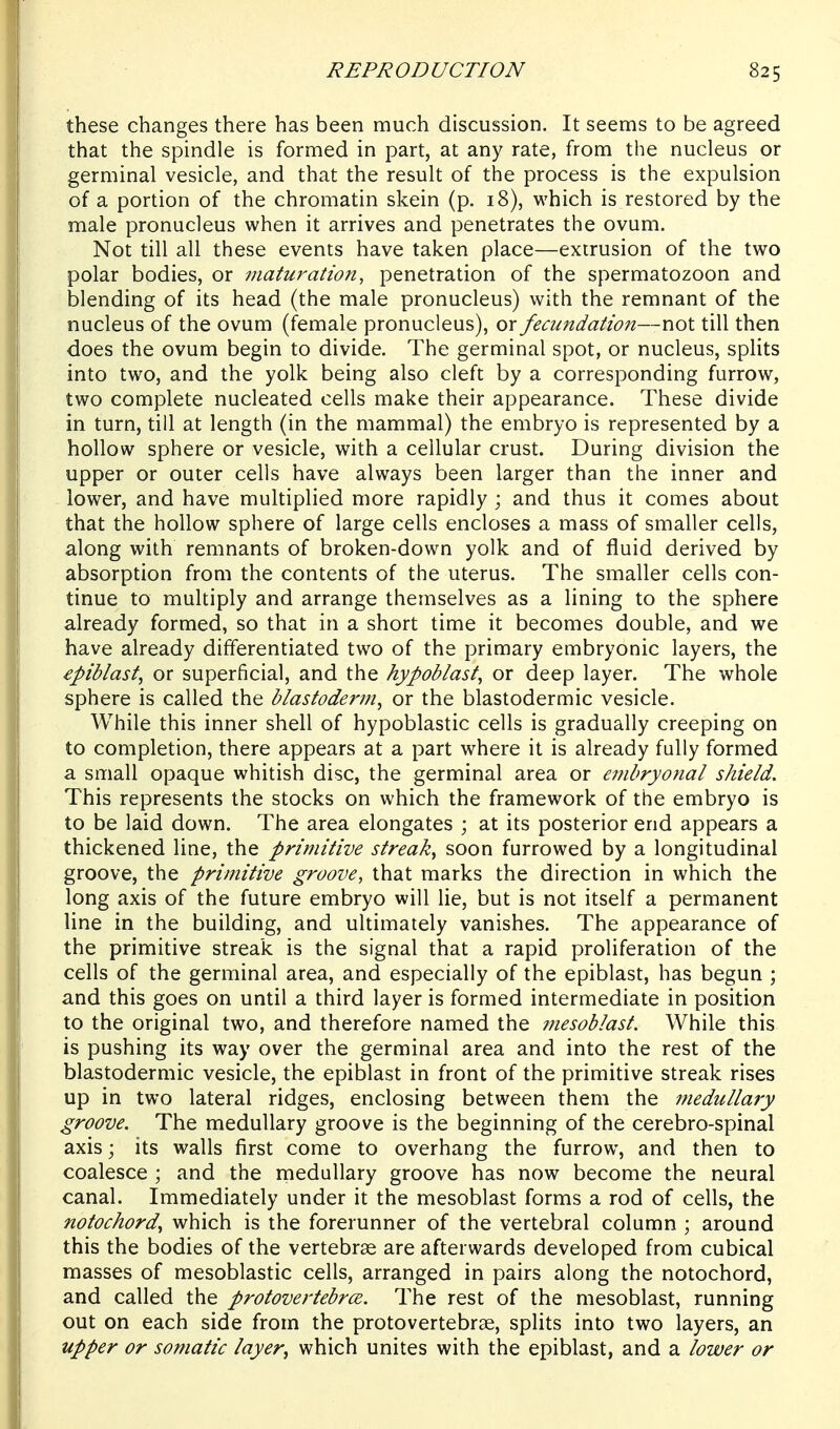 these changes there has been much discussion. It seems to be agreed that the spindle is formed in part, at any rate, from the nucleus or germinal vesicle, and that the result of the process is the expulsion of a portion of the chromatin skein (p. 18), which is restored by the male pronucleus when it arrives and penetrates the ovum. Not till all these events have taken place—extrusion of the two polar bodies, or maturation, penetration of the spermatozoon and blending of its head (the male pronucleus) with the remnant of the nucleus of the ovum (female pronucleus), or fecundation—not till then does the ovum begin to divide. The germinal spot, or nucleus, splits into two, and the yolk being also cleft by a corresponding furrow, two complete nucleated cells make their appearance. These divide in turn, till at length (in the mammal) the embryo is represented by a hollow sphere or vesicle, with a cellular crust. During division the upper or outer cells have always been larger than the inner and lower, and have multiplied more rapidly ; and thus it comes about that the hollow sphere of large cells encloses a mass of smaller cells, along with remnants of broken-down yolk and of fluid derived by absorption from the contents of the uterus. The smaller cells con- tinue to multiply and arrange themselves as a lining to the sphere already formed, so that in a short time it becomes double, and we have already differentiated two of the primary embryonic layers, the epiblast, or superficial, and the hypoblast, or deep layer. The whole sphere is called the blastoderm, or the blastodermic vesicle. While this inner shell of hypoblastic cells is gradually creeping on to completion, there appears at a part where it is already fully formed a small opaque whitish disc, the germinal area or embryonal shield. This represents the stocks on which the framework of the embryo is to be laid down. The area elongates ; at its posterior end appears a thickened line, the primitive streak, soon furrowed by a longitudinal groove, the primitive groove, that marks the direction in which the long axis of the future embryo will lie, but is not itself a permanent line in the building, and ultimately vanishes. The appearance of the primitive streak is the signal that a rapid proliferation of the cells of the germinal area, and especially of the epiblast, has begun ; and this goes on until a third layer is formed intermediate in position to the original two, and therefore named the 7nesoblast. While this is pushing its way over the germinal area and into the rest of the blastodermic vesicle, the epiblast in front of the primitive streak rises up in two lateral ridges, enclosing between them the medullary groove. The medullary groove is the beginning of the cerebro-spinal axis; its walls first come to overhang the furrow, and then to coalesce ; and the medullary groove has now become the neural canal. Immediately under it the mesoblast forms a rod of cells, the notochord, which is the forerunner of the vertebral column ; around this the bodies of the vertebrae are afterwards developed from cubical masses of mesoblastic cells, arranged in pairs along the notochord, and called the protovertebrce. The rest of the mesoblast, running out on each side from the protovertebrae, splits into two layers, an upper or somatic layer, which unites with the epiblast, and a lower or