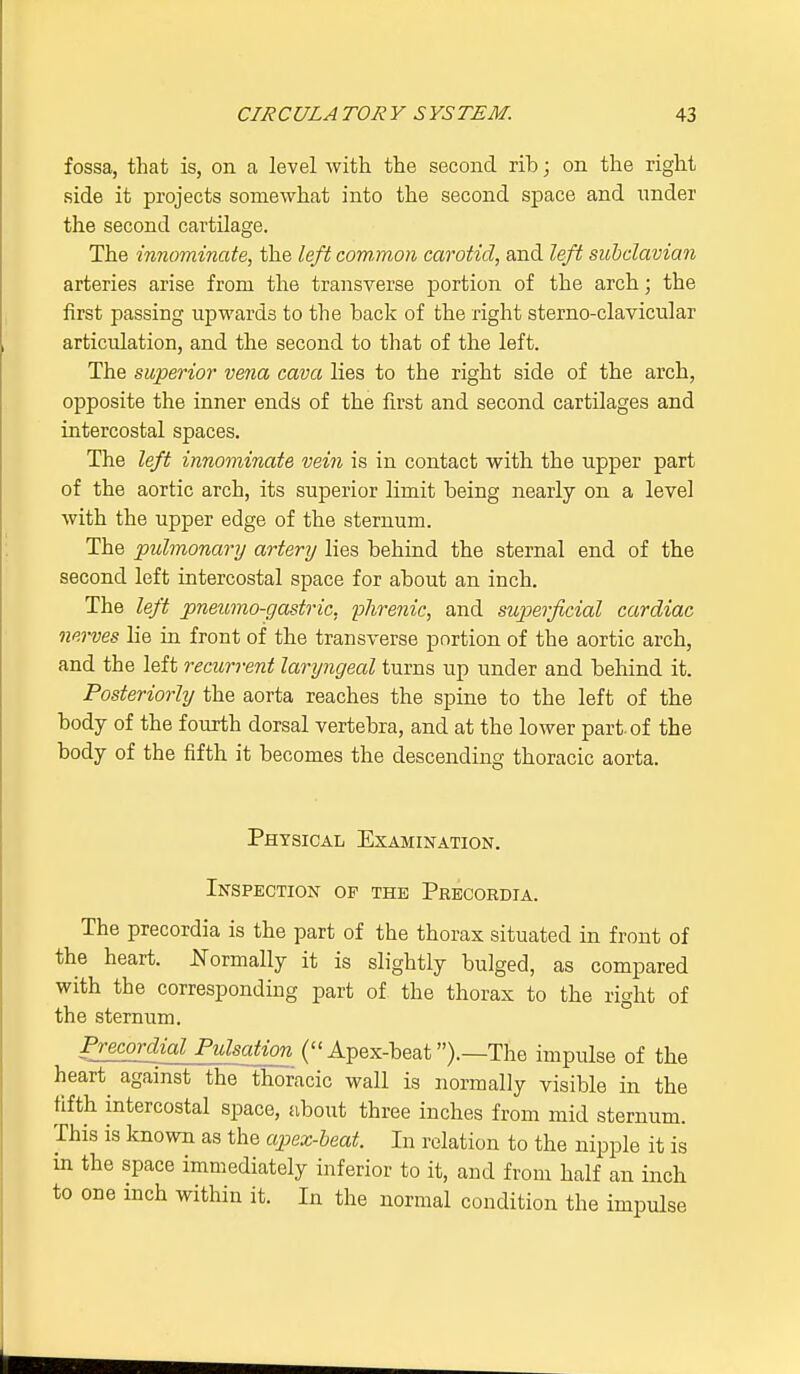 fossa, that is, on a level with the second rib; on the right side it projects somewhat into the second space and nnder the second cartilage. The innominate, the left common carotid, and left subclavian arteries arise from the transverse portion of the arch; the first passing upwards to the back of the right sterno-clavicular articulation, and the second to that of the left. The superior vena cava lies to the right side of the arch, opposite the inner ends of the first and second cartilages and intercostal spaces. The left innominate vein is in contact with the upper part of the aortic arch, its superior limit being nearly on a level with the upper edge of the sternum. The pulmonary artery lies behind the sternal end of the second left intercostal space for about an inch. The left pneumo-gastric, phrenic, and superficial cardiac nerves lie in front of the transverse portion of the aortic arch, and the left recurrent larijngeal turns up under and behind it. Posteriorly the aorta reaches the spine to the left of the body of the fourth dorsal vertebra, and at the lower part, of the body of the fifth it becomes the descending thoracic aorta. Physical Examination. Inspection of the Precordia. The precordia is the part of the thorax situated in front of the heart. .Normally it is slightly bulged, as compared with the corresponding part of the thorax to the right of the sternum. Precordial Pulsation ( Apex-beat).—The impulse of the hearty against the thoracic wall is normally visible in the fifth intercostal space, about three inches from mid sternum. This is known as the apex-beat. In relation to the nipple it is m the space immediately inferior to it, and from half an inch to one inch within it. In the normal condition the impulse