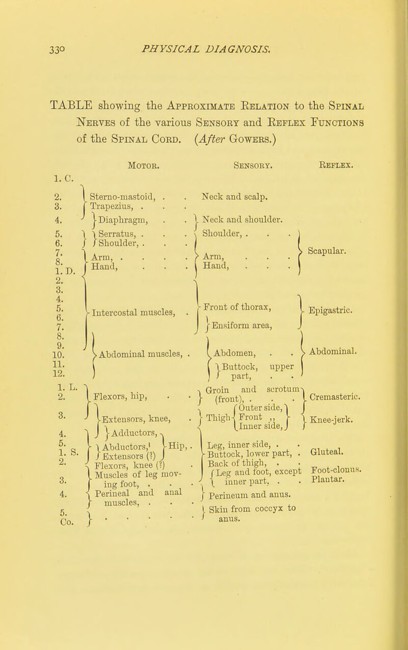 TABLE showing the Approximate Relation to the Spinal Nerves of the various Sensory and Reflex Functions of the Spinal Cord. (After Gowers.) Motor. Sensory. Reflex. 1. C. 2. 3. 4. 5. 6. 7. 8. 1. D. 2. 3. 4. 5. 6. 7. 8. 9. 10. 11. 12. I Sterno-rnastoid, j Trapezius, . ' |Diaphragm, \ \Serratus, / rr \ s. 4. 5. 1. 2. 3. 4. 5. Co. Shoulder, Arm, Hand, Neck and scalp. \ Neck and shoulder. Shoulder, . - Intercostal muscles, > Abdominal muscles, Flexors, hip, Extensors, knee, }J | Adductors, ^ \ Abductors,1 I Hip, /Extensors (?) J Flexors, knee (?) I Muscles of leg mov- f ing foot, . - Perineal and anal muscles, . Arm, Hand, r Front of thorax, | | Ensiform area, I Abdomen, f \ Buttock, upper ) J part, ■> Groin and } (front), . Scapular. Epigastric. Abdominal. COuter side, ^ [ Thigh-! Front ,, \ 1 pinner side, J scrotu in-v . I Cremasteric. j. Knee-jerk. Gluteal. > } Leg, inner side, . - Buttock, lower part, Back of thigh, . . f Leg and foot, except Foot-clonus. \ inner part, . . Plantar. Perineum and anus. I Skin from coccyx to I amis.