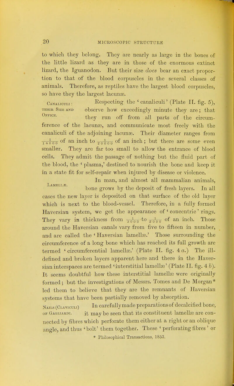 to whicli they belong. They are nearly as large in the bones of the little lizard as they are in those of the enormous extinct lizard, the Iguanodon. But their size does bear an exact propor- tion to that of the blood corpuscles in the several classes of animals. Therefore, as reptiles have the largest blood corpuscles, so have they the largest lacunte. Canaliculi : Eespecting the ' canaliculi' (Plate IT. fig. 5), THBiE Size and observe how exceedingly minute they are; that Office. ^^^^ ^g. ^^^^ parts of the circum- ference of the lacunas, and communicate most freely with the canaHculi of the adjoining lacunae. Their diameter ranges from ;^4ooo ™ inck to -aTooir ^^^^ '■> there are some even smaller. They are far too small to allow the entrance of blood cells. They admit the passage of nothing but the fluid part of the blood, the ' jjlasma,' destined to nourish the bone and keep it in a state fit for self-repair when injm-ed by disease or violence. In man, and almost all mammalian animals, bone grows by the deposit of fresh layers. In all cases the new layer is deposited on that surface of the old layer which is next to the blood-vessel. Therefore, in a fuUy formed Haversian system, we get the appearance of' concentric' rings. They vary in thickness from -30V0 Woo m.c\i. Those around the Haversian canals vary from five to fifteen in number, and are called the ' Haversian lamellas.' Those surrounding the circumference of a long bone which has reached its full growth are termed ' circumferential lamellas.' (Plate II. fig. 4 a.) The ill- defined and broken layers apparent here and there in the Haver- sian interspaces are termed 'interstitial lamellae' (Plate 11. fig. 4 h). It seems doubtful how these interstitial lamellaa were originally formed; but the investigations of Messrs. Tomes and De Morgan* led them to believe that they are the remnants of Haversian systems that have been partially removed by absorption. Nails (Claticum) In carefullymade preparations of decalcified bone, OF Q aqliabdi. it may be seen that its constituent lameUas are con- nected by fibres which perforate them either at a right or an oblique angle, and thus ' bolt' them together. These ' perforating fibres ' or * Philosophical Transactions, 1863.