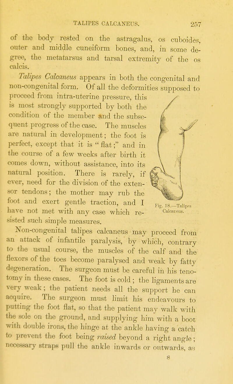 of the body rested on the astragalus, os cuboid'es, outer and middle cuneiform bones, and, in some de- gree, the metatarsus and tarsal extremity of the os calcis. Talipes Calcaneus appears in both the congenital and non-congenital form. Of all the deformities supposed to proceed from intra-uterine pressure, this is most strongly supported by both the condition of the member and the subse- quent progress of the case. The muscles are natural in development; the foot is perfect, except that it is  flat; and in the course of a few weeks after birth it comes down, without assistance, into its natural position. There is rarely, if ever, need for the division of the exten- sor tendons; the mother may rub the foot and exert gentle traction, and I have not met with any case which re- Calcaneus. . mated such simple measures. Non-congenital talipes calcaneus may proceed from an attack of infantile paralysis, by which, contrary to the usual course, the muscles of the calf and the flexors of the toes become paralysed and weak by fatty degeneration. The surgeon must be careful in his teno- tomy in these cases. The foot is cold ; the ligaments are very weak; the patient needs all the support he can acquire. The surgeon must limit his endeavours to putting the foot flat, so that the patient may walk with the sole on the ground, and supplying him with a boot with double irons, the hinge at the ankle having a catch to prevent the foot being raised beyond a right angle; necessary straps pull the ankle inwards or outwards, as s