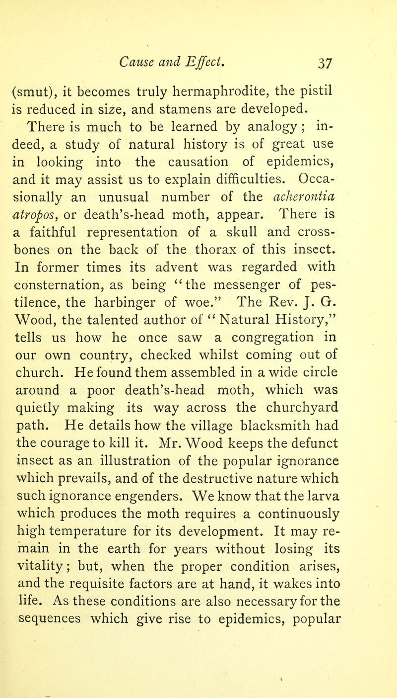 (smut), it becomes truly hermaphrodite, the pistil is reduced in size, and stamens are developed. There is much to be learned by analogy ; in- deed, a study of natural history is of great use in looking into the causation of epidemics, and it may assist us to explain difficulties. Occa- sionally an unusual number of the acherontia atropos, or death's-head moth, appear. There is a faithful representation of a skull and cross- bones on the back of the thorax of this insect. In former times its advent was regarded with consternation, as being the messenger of pes- tilence, the harbinger of woe. The Rev. J. G. Wood, the talented author of  Natural History, tells us how he once saw a congregation in our own country, checked whilst coming out of church. He found them assembled in a wide circle around a poor death's-head moth, which was quietly making its way across the churchyard path. He details how the village blacksmith had the courage to kill it. Mr. Wood keeps the defunct insect as an illustration of the popular ignorance which prevails, and of the destructive nature which such ignorance engenders. We know that the larva which produces the moth requires a continuously high temperature for its development. It may re- main in the earth for years without losing its vitality; but, when the proper condition arises, and the requisite factors are at hand, it wakes into life. As these conditions are also necessary for the sequences which give rise to epidemics, popular