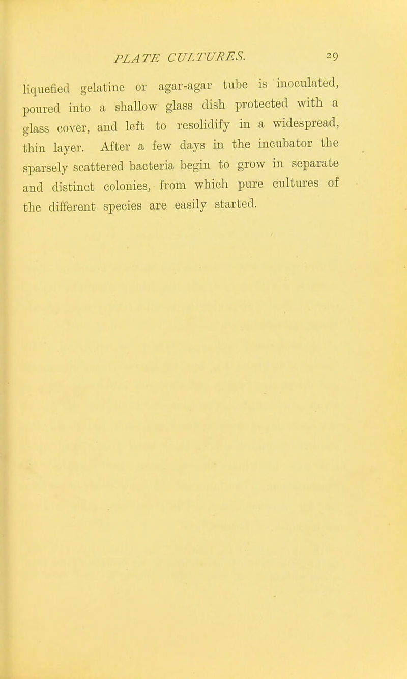 liquefied gelatine or agar-agar tube is inoculated, poured into a shallow glass dish protected with a glass cover, and left to resolidify in a widespread, thin layer. After a few clays in the incubator the sparsely scattered bacteria begin to grow in separate and distinct colonies, from which pure cultures of the different species are easily started.