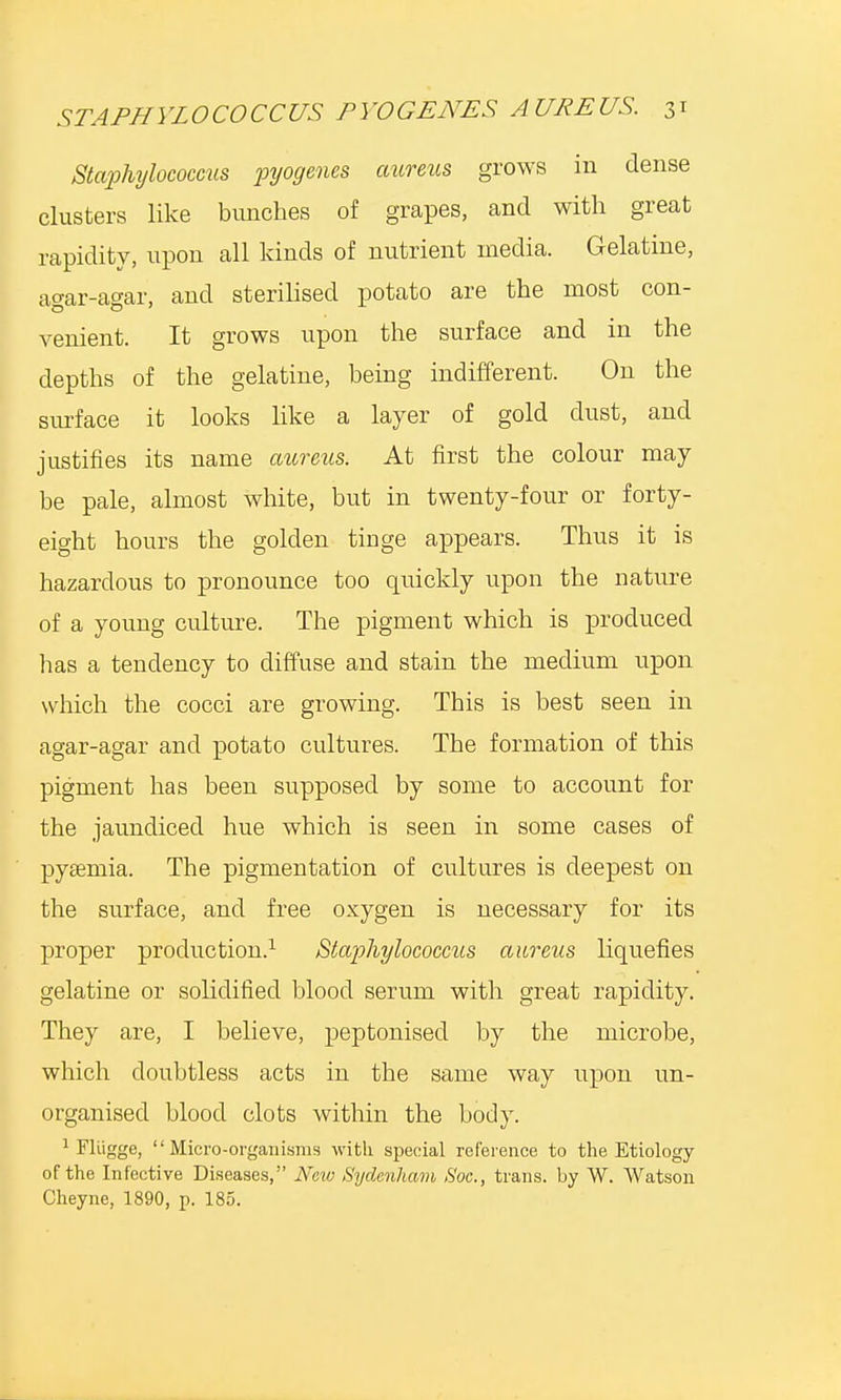 Staphylococcus pyogenes aureus grows in dense clusters like bunches of grapes, and with great rapidity, upon all kinds of nutrient media. Gelatine, agar-agar, and sterilised potato are the most con- venient. It grows upon the surface and in the depths of the gelatine, being indifferent. On the surface it looks like a layer of gold dust, and justifies its name aureus. At first the colour may be pale, almost white, but in twenty-four or forty- eight hours the golden tinge appears. Thus it is hazardous to pronounce too quickly upon the nature of a young culture. The pigment which is produced has a tendency to diffuse and stain the medium upon which the cocci are growing. This is best seen in agar-agar and potato cultures. The formation of this pigment has been supposed by some to account for the jaundiced hue which is seen in some cases of pyaemia. The pigmentation of cultures is deepest on the surface, and free oxygen is necessary for its proper production.1 Staphylococcus aureus liquefies gelatine or solidified blood serum with great rapidity. They are, I believe, peptonised by the microbe, which doubtless acts in the same way upon un- organised blood clots within the body. 1 Fliigge, Micro-organisms with special reference to the Etiology of the Infective Diseases, Neio Sydenham Soc, trans, by W. Watson Cheyne, 1890, p. 185.