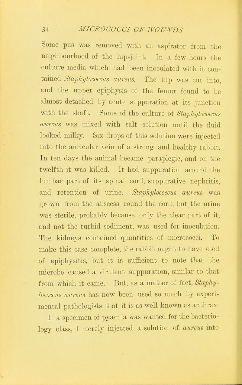 Some pus was removed with an aspirator from the neighbourhood of the hip-joint. In a few hours the culture media which had been inoculated with it con- tained Staphylococcus aureus. The hip was cut into, and the upper epiphysis of the femur found to be almost detached by acute suppuration at its junction with the shaft. Some of the culture of Staphylococcus aureus was mixed with salt solution until the fluid looked milky. Six drops of this solution were injected into the auricular vein of a strong and healthy rabbit. In ten days the animal became paraplegic, and on the twelfth it was killed. It had suppuration around the lumbar part of its spinal cord, suppurative nephritis, and retention of urine. Staphylococcus aureus was grown from the abscess round the cord, but the urine was sterile, probably because only the clear part of it, and not the turbid sediment, was used for inoculation. The kidneys contained quantities of micrococci. To make this case complete, the rabbit ought to have died of epiphysitis, but it is sufficient to note that the microbe caused a virulent suppuration, similar to that from which it came. But, as a matter of fact, Staphy- lococcus aureus has now been used so much by experi- mental pathologists that it is as well known as anthrax. If a specimen of pysemia was wanted for the bacterio- logy class, I merely injected a solution of aureus into
