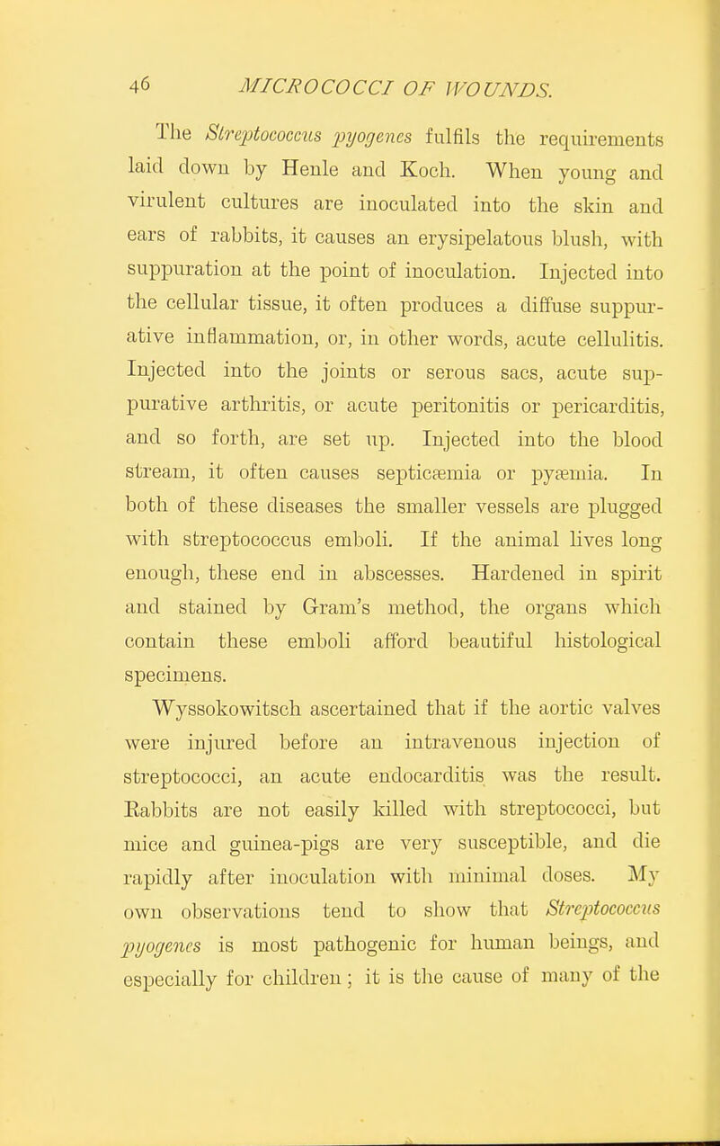 The Streptococcus pyogenes fulfils the requirements laid down by Henle and Koch. When young and virulent cultures are inoculated into the skin and ears of rabbits, it causes an erysipelatous blush, with suppuration at the point of inoculation. Injected into the cellular tissue, it often produces a diffuse suppur- ative inflammation, or, in other words, acute cellulitis. Injected into the joints or serous sacs, acute sup- purative arthritis, or acute peritonitis or pericarditis, and so forth, are set up. Injected into the blood stream, it often causes septicemia or pyaemia. In both of these diseases the smaller vessels are plugged with streptococcus emboli. If the animal lives long enough, these end in abscesses. Hardened in spirit and stained by Gram's method, the organs which contain these emboli afford beautiful histological specimens. Wyssokowitsch ascertained that if the aortic valves were injured before an intravenous injection of streptococci, an acute endocarditis was the result. Eabbits are not easily killed with streptococci, but mice and guinea-pigs are very susceptible, and die rapidly after inoculation with minimal doses. My own observations tend to show that Strep>tococcus pyogenes is most pathogenic for human beings, and especially for children; it is the cause of many of the
