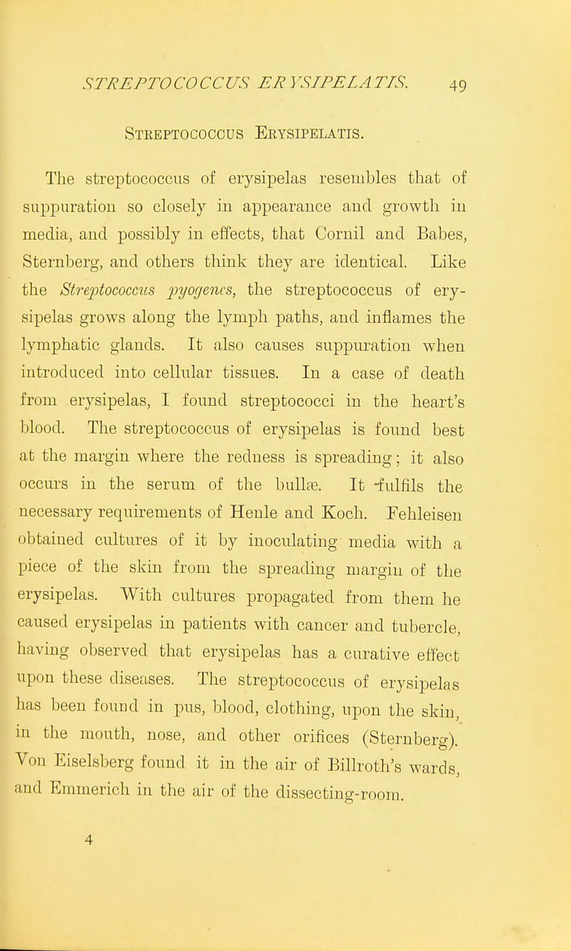 Streptococcus Erysipelatis. The streptococcus of erysipelas resembles that of suppuration so closely in appearance and growth in media, and possibly in effects, that Cornil and Babes, Sternberg, and others think they are identical. Like the Streptococcus pyogenes, the streptococcus of ery- sipelas grows along the lymph paths, and inflames the lymphatic glands. It also causes suppuration when introduced into cellular tissues. In a case of death from erysipelas, I found streptococci in the heart's blood. The streptococcus of erysipelas is found best at the margin where the redness is spreading; it also occurs in the serum of the bullae. It -fulfils the necessary requirements of Henle and Koch. Fehleisen obtained cultures of it by inoculating media with a piece of the skin from the spreading margin of the erysipelas. With cultures propagated from them he caused erysipelas in patients with cancer and tubercle, having observed that erysipelas has a curative effect upon these diseases. The streptococcus of erysipelas has been found in pus, blood, clothing, upon the skin, in the mouth, nose, and other orifices (Sternberg). Von Eiselsberg found it in the air of Billroth's wards, and Emmerich in the air of the dissecting-room. 4